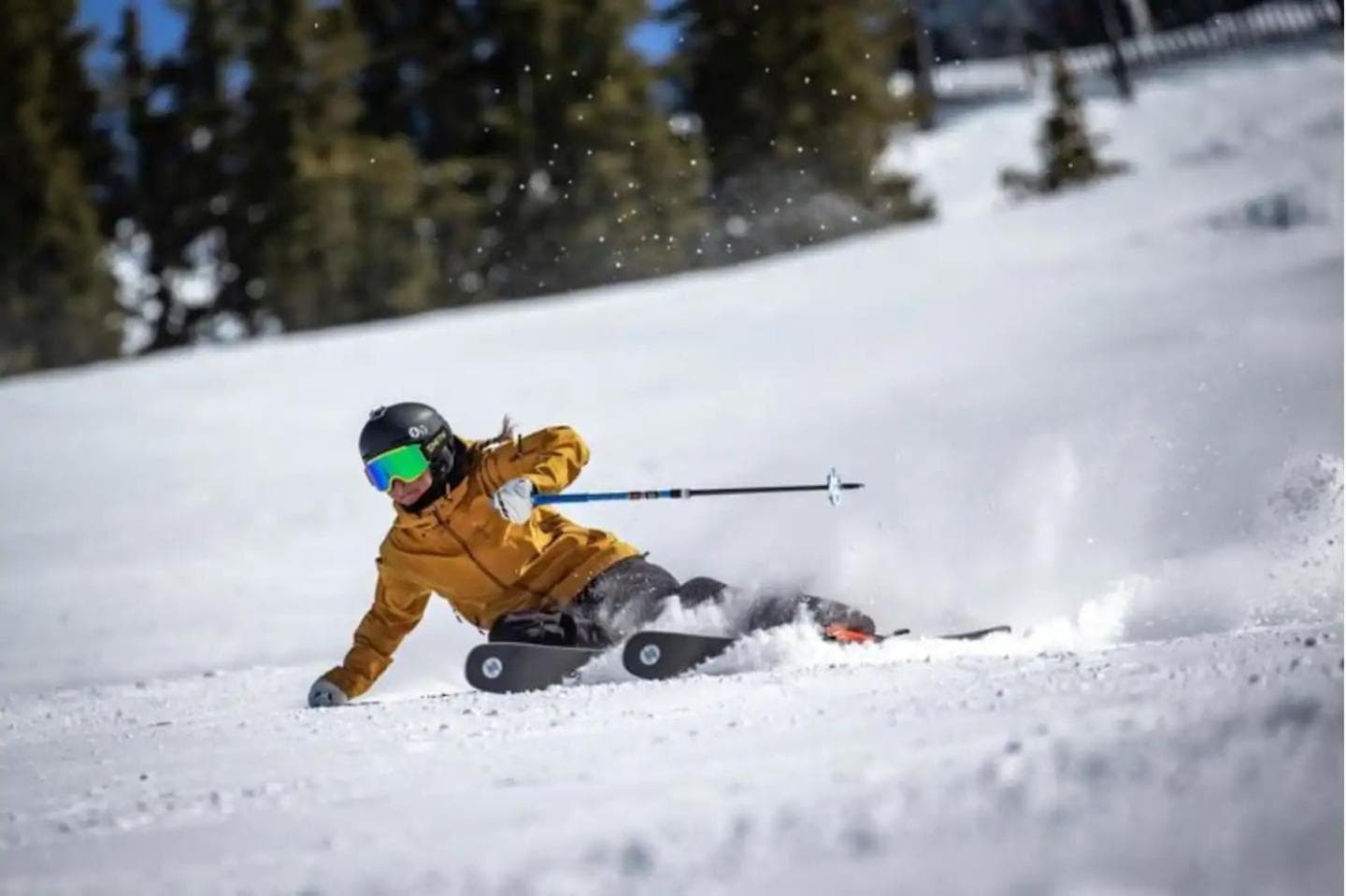 Ski-in Ski-out - The Cliff at Snowbird and Alta property views in Sandy, UT — gallery photo 3