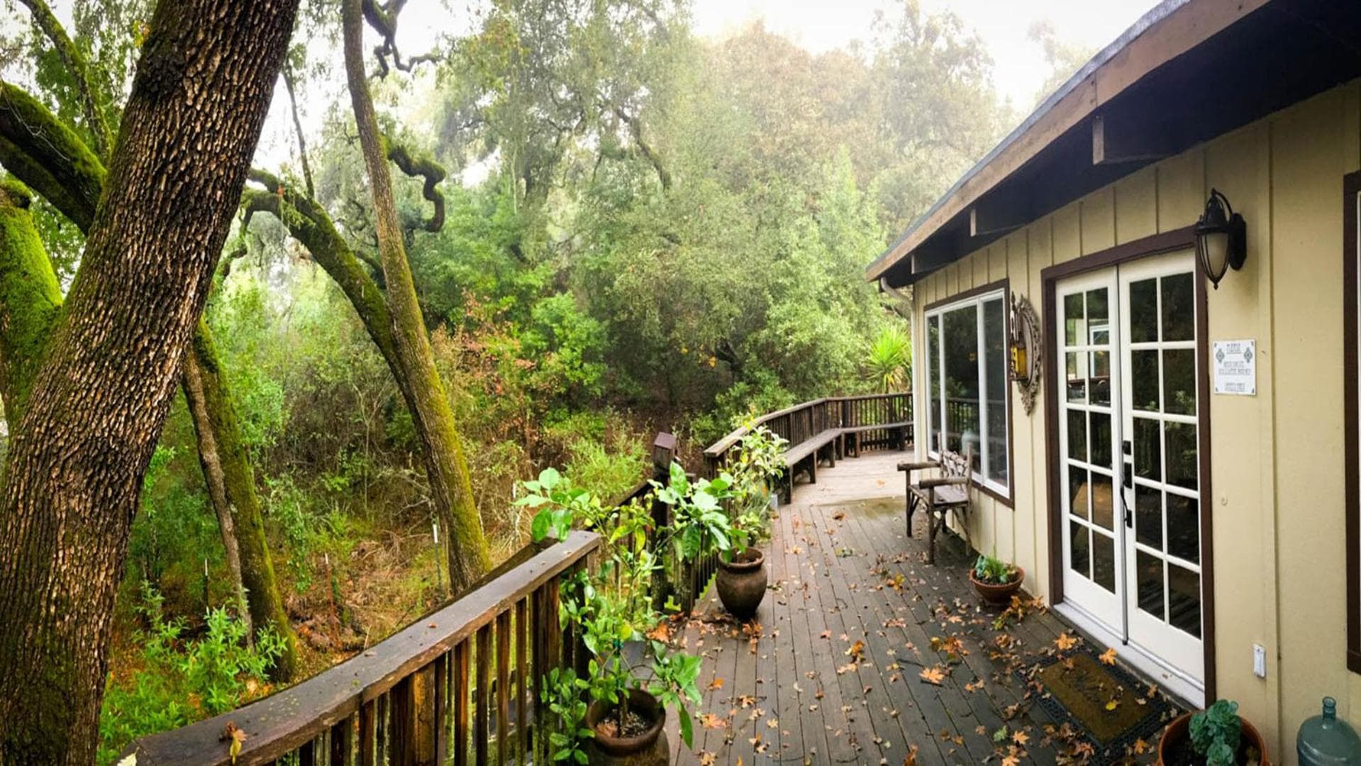 The Oak Haven - a relaxing sanctuary w/spa! property views in Glen Ellen, CA — gallery photo 3