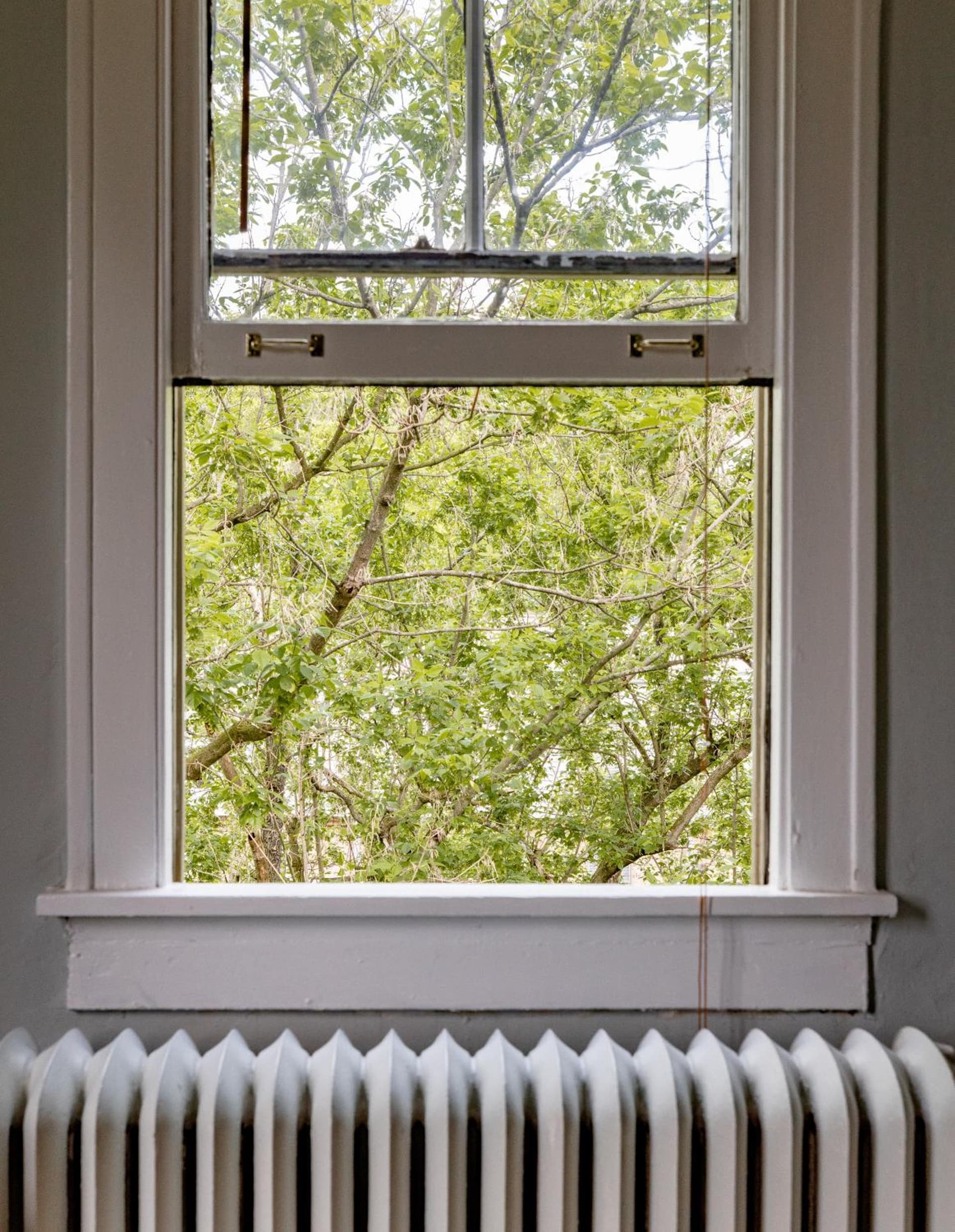 Princess Anne Boutique Hotel gallery photo in Asheville, NC — image 9