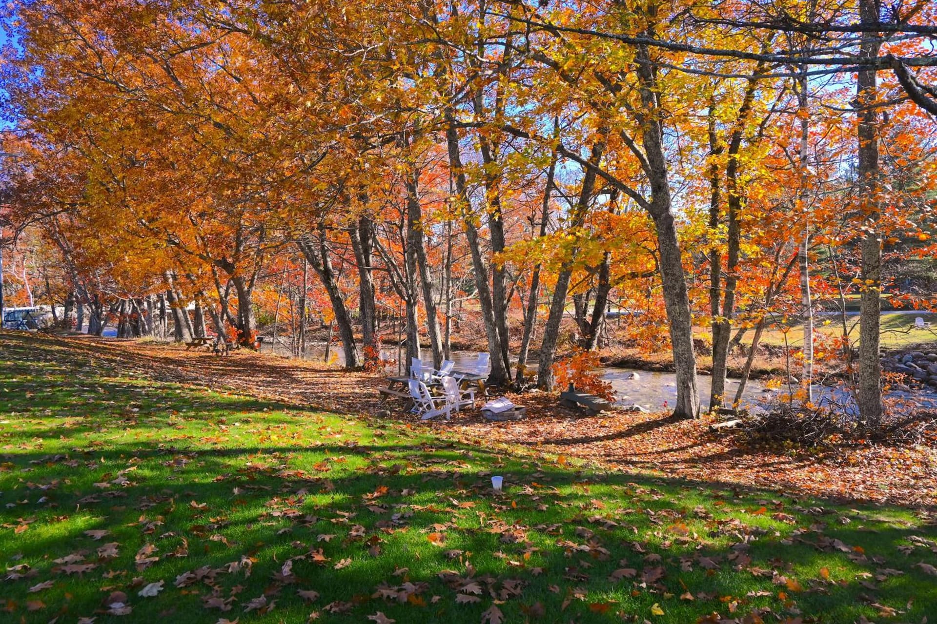 The Lodge at Jackson Village gallery photo in Jackson — image 72