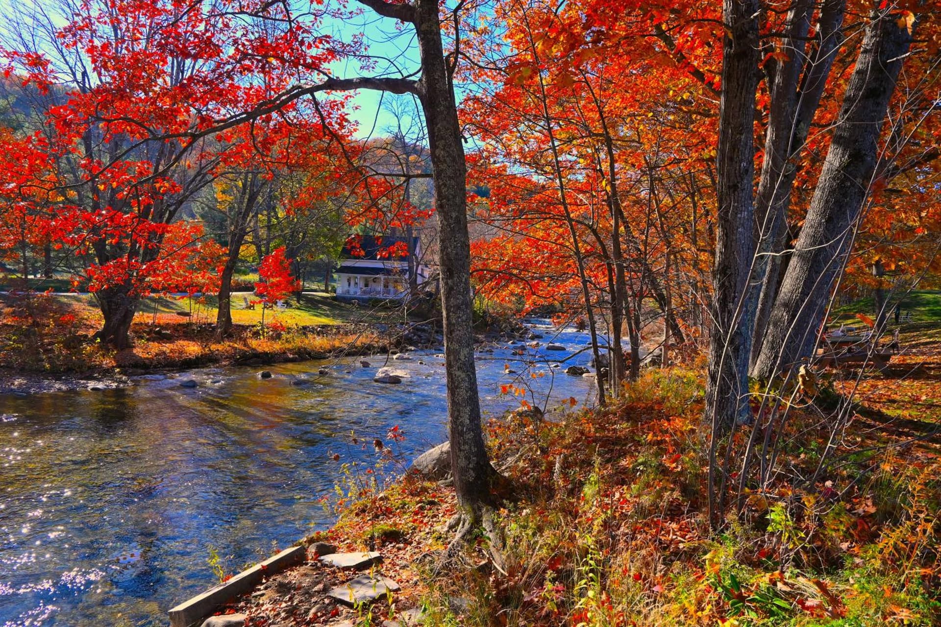 The Lodge at Jackson Village gallery photo in Jackson — image 93