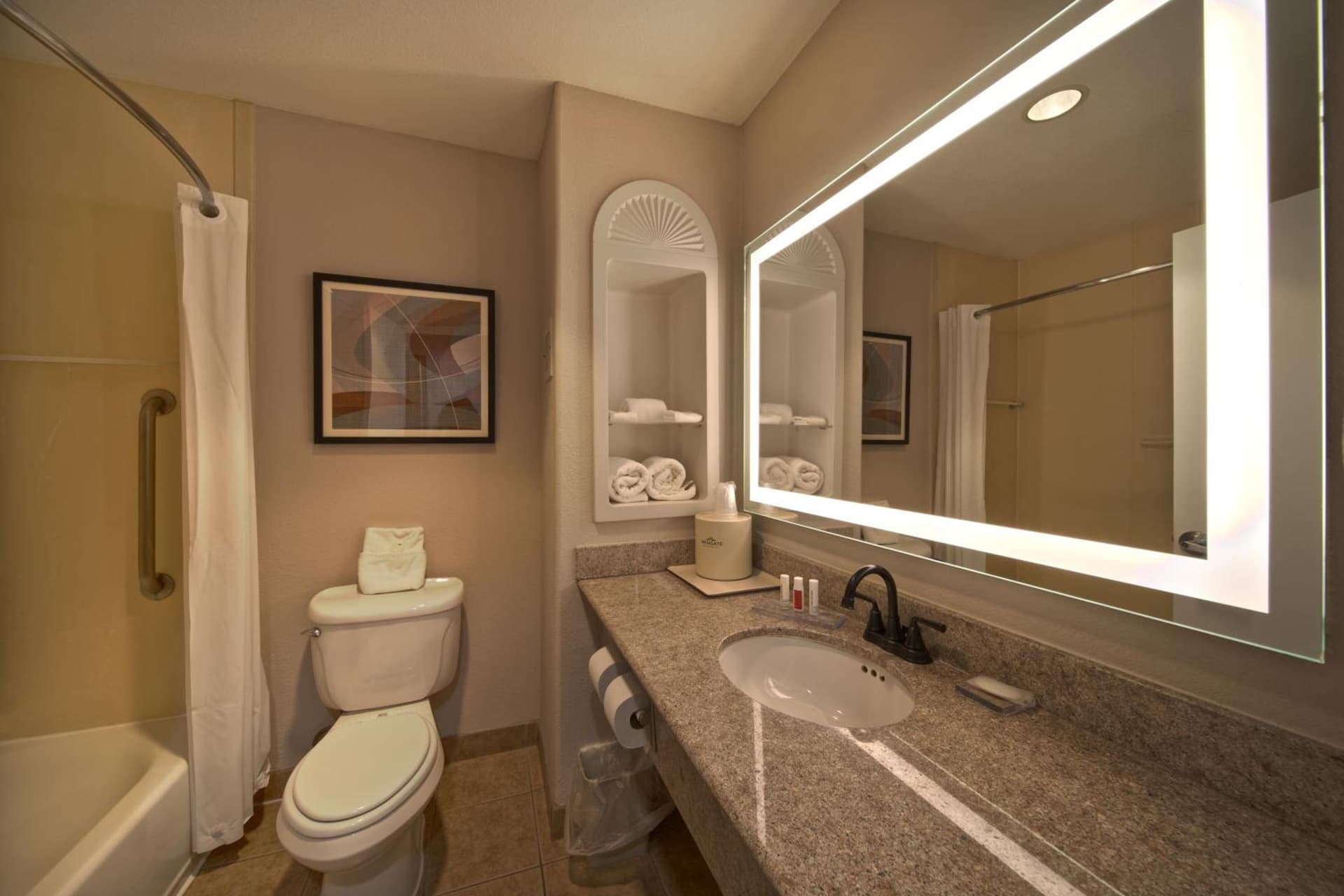 Wingate by Wyndham Houston Bush Intercontinental Airport gallery photo in Houston, TX — image 52