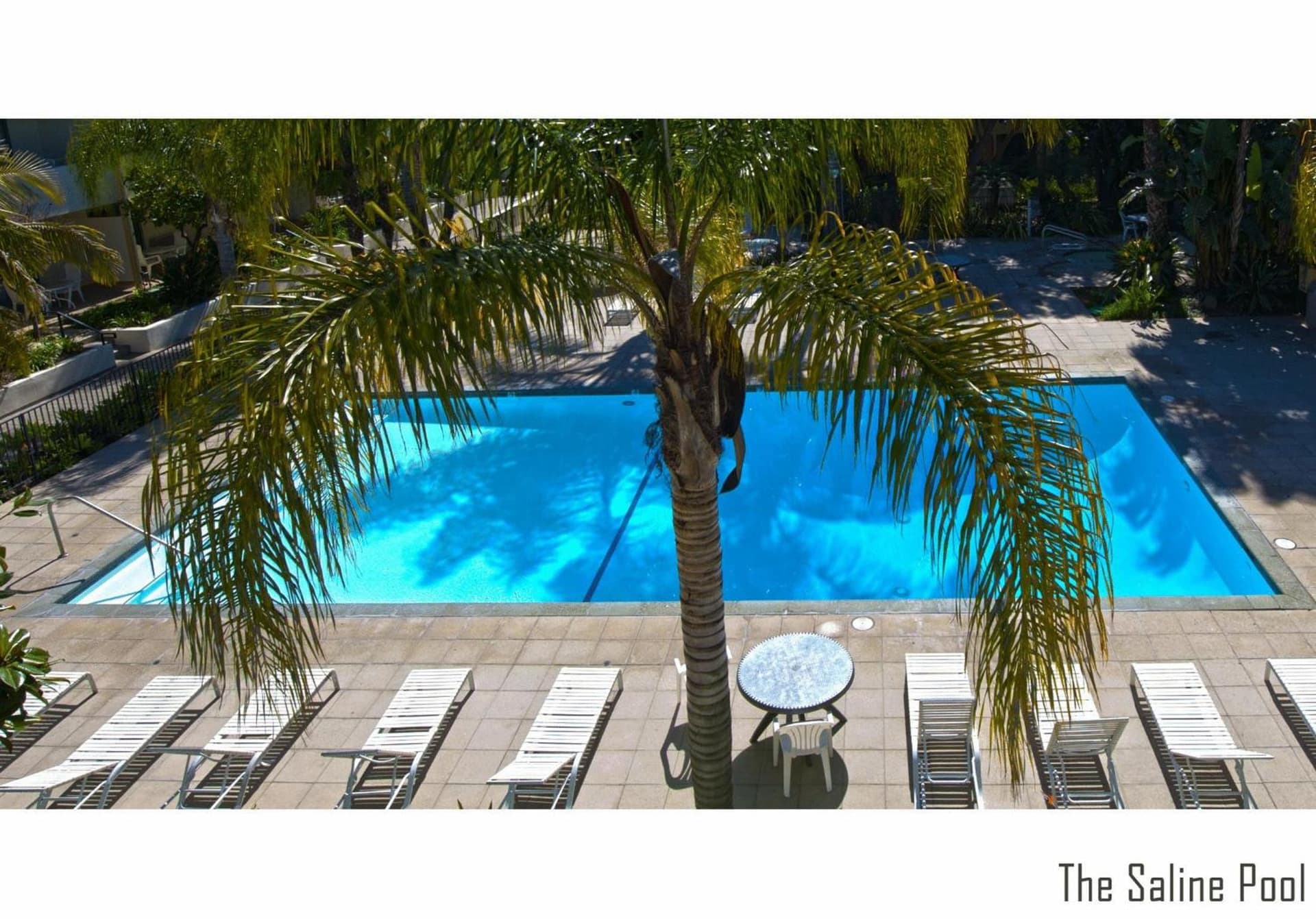 Lemon Tree Inn gallery photo in Santa Barbara, CA — image 13