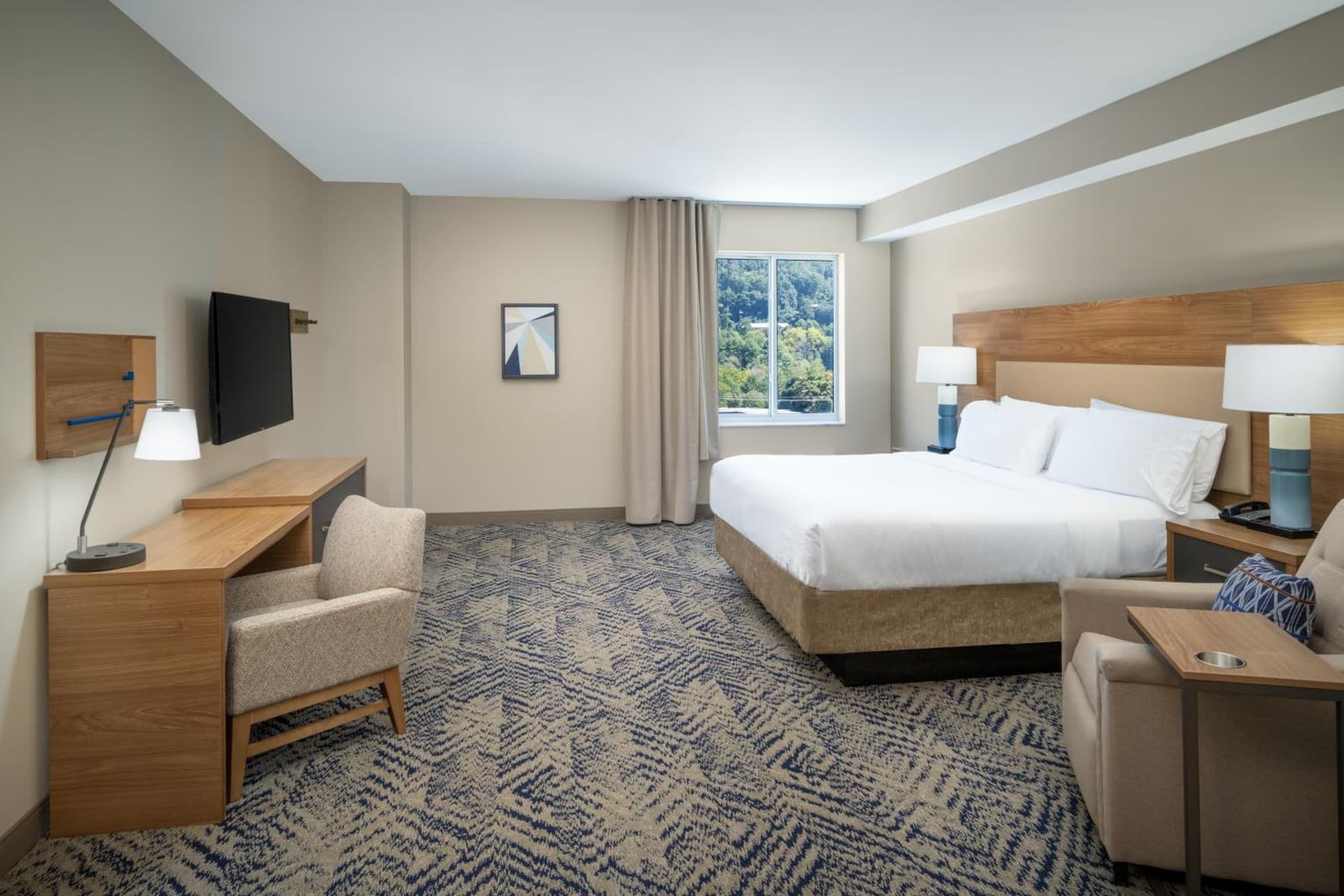 Candlewood Suites - Asheville Downtown by IHG property views in Asheville, NC — gallery photo 3