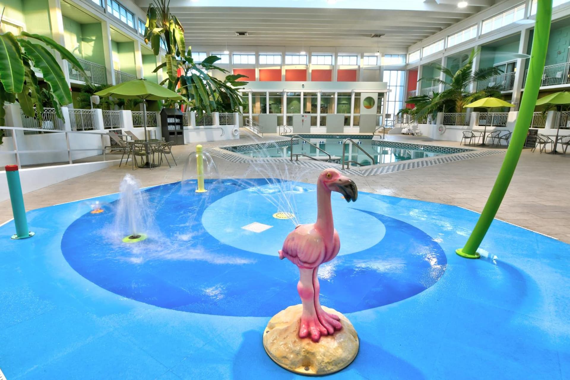 Oasis Hotel and Conv Center, an Ascend Collection Hotel gallery photo in Springfield, MO — image 22
