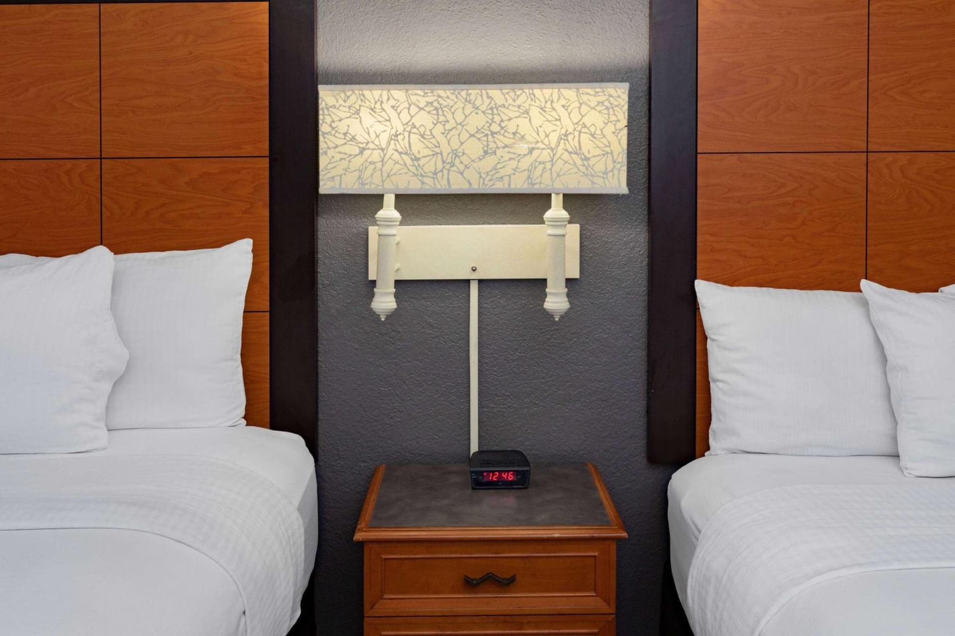La Quinta Inn by Wyndham Laredo I-35 gallery photo in Laredo, TX — image 18