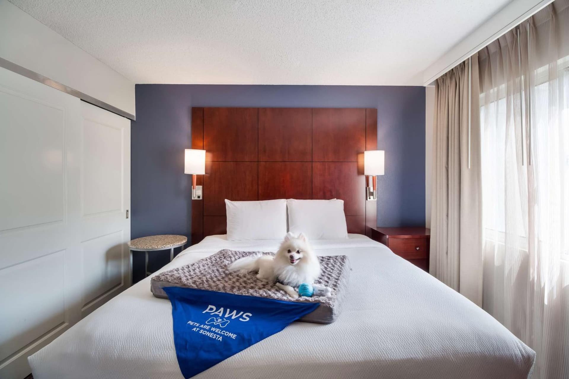 Sonesta ES Suites Huntington Beach Fountain Valley gallery photo in Huntington Beach, CA — image 22