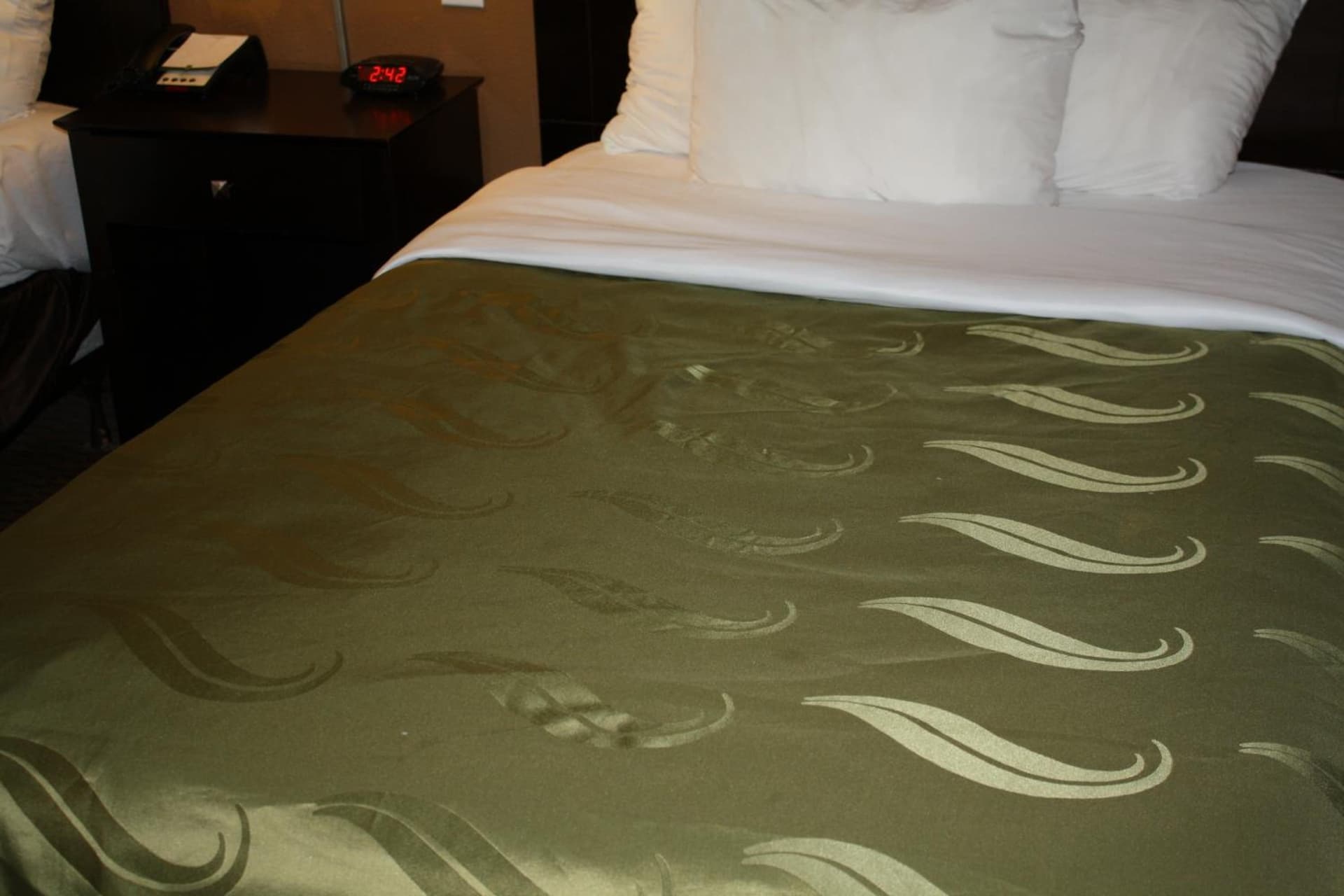 Quality Inn & Suites Wichita Falls I-44 gallery photo in Wichita Falls, TX — image 42