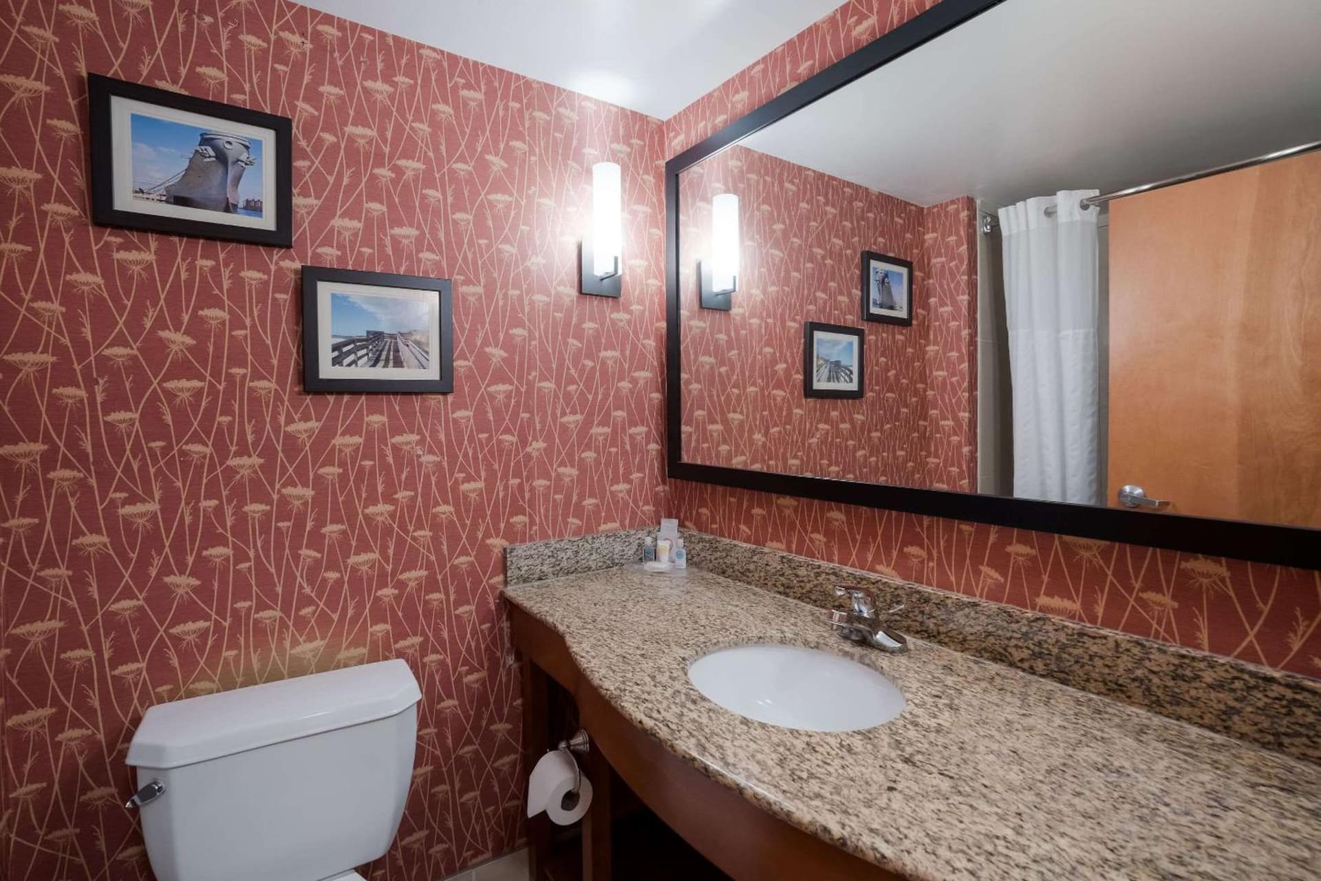Comfort Suites Suffolk - Chesapeake gallery photo in Suffolk, VA — image 20