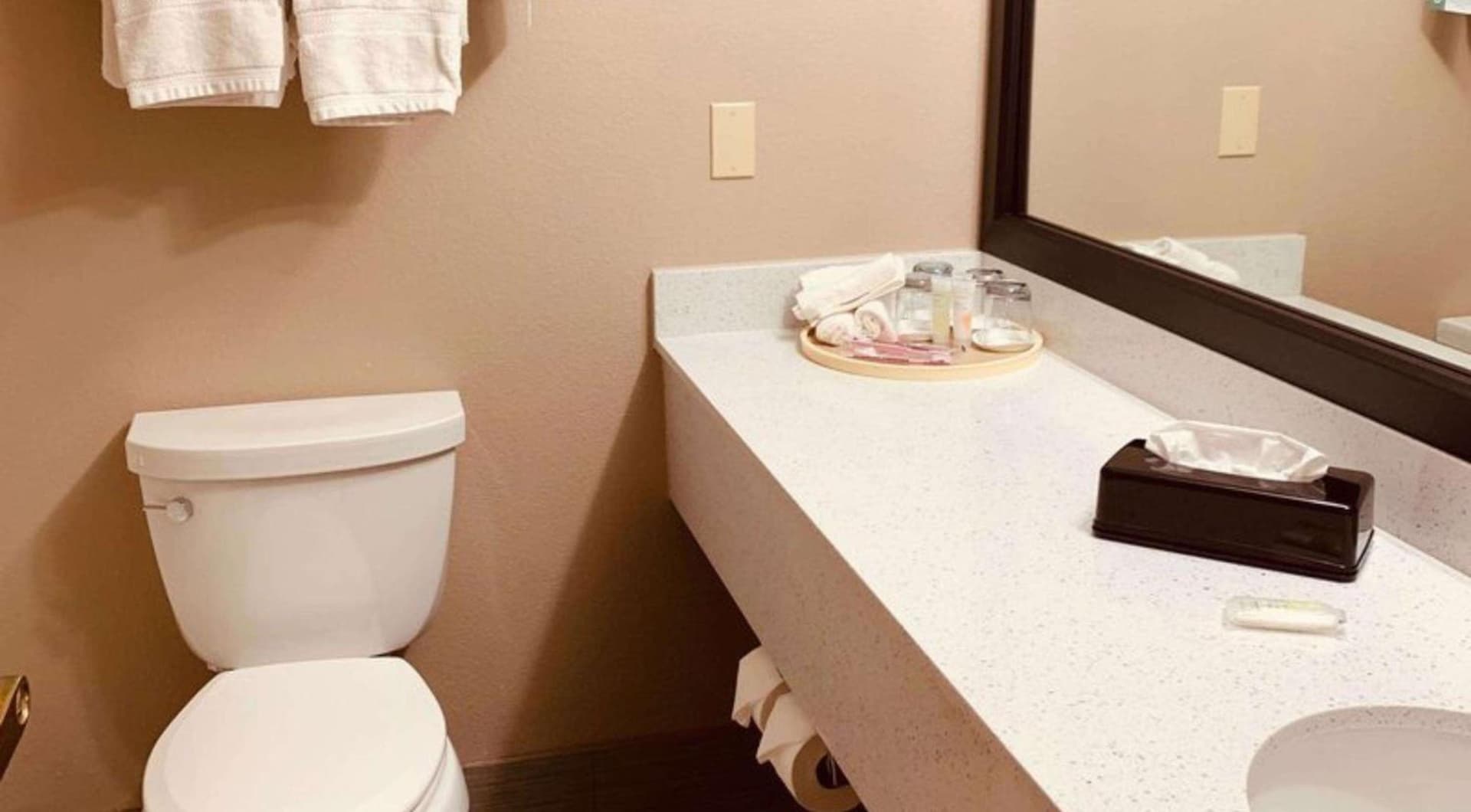Comfort Suites Plano East - Richardson gallery photo in Plano, TX — image 6