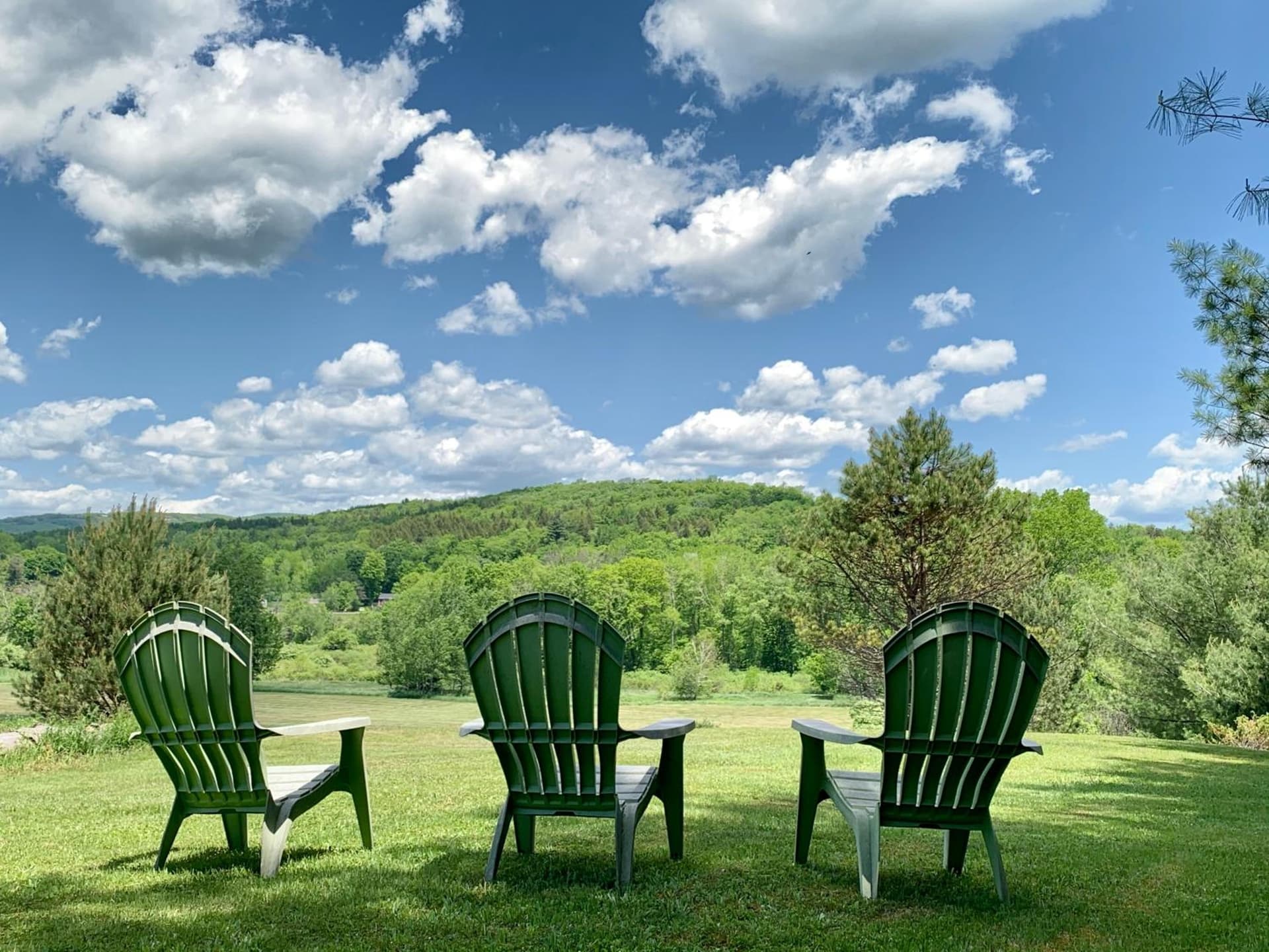 Hotel Vienna gallery photo in Windham — image 64