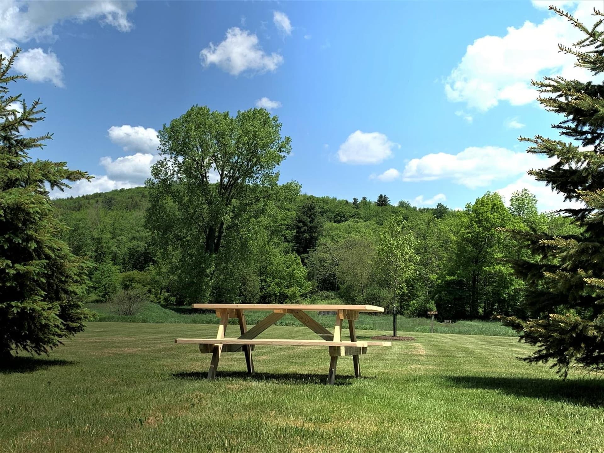 Hotel Vienna gallery photo in Windham — image 20