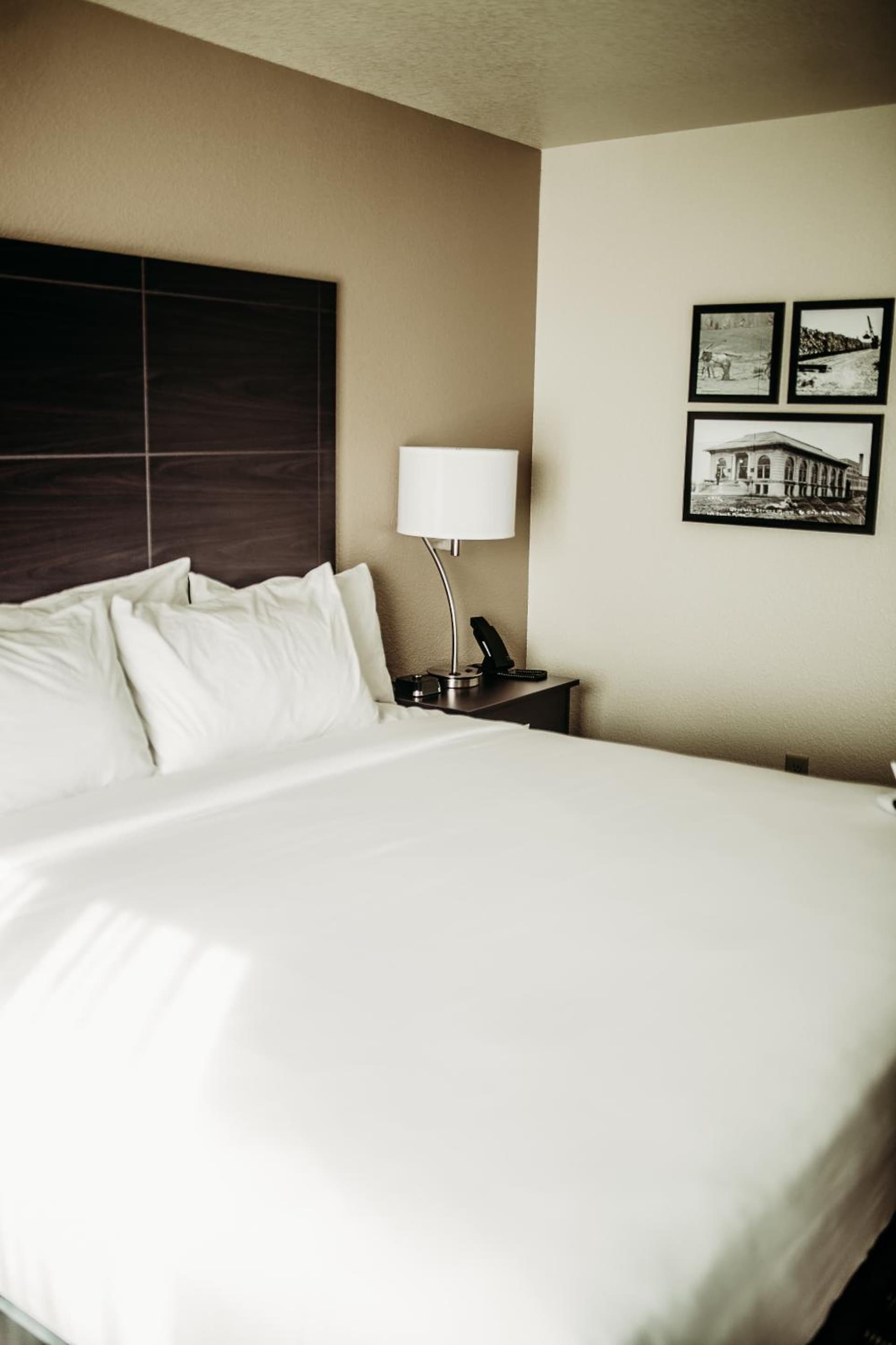 Cobblestone Hotel & Suites International Falls property views in International Falls, MN — gallery photo 3
