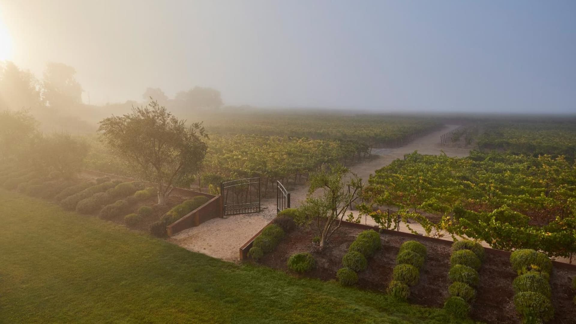 Vinarosa Resort & Spa gallery photo in Santa Rosa, CA — image 72