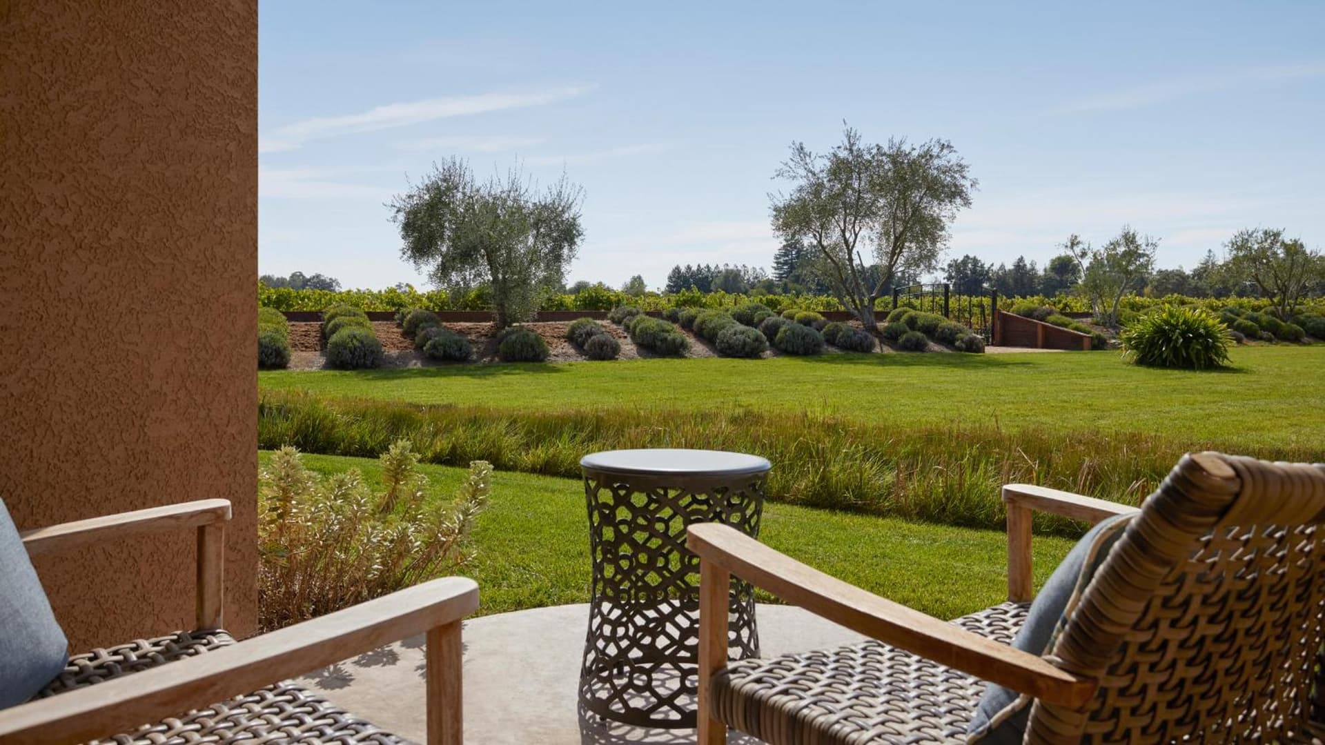 Vinarosa Resort & Spa gallery photo in Santa Rosa, CA — image 94