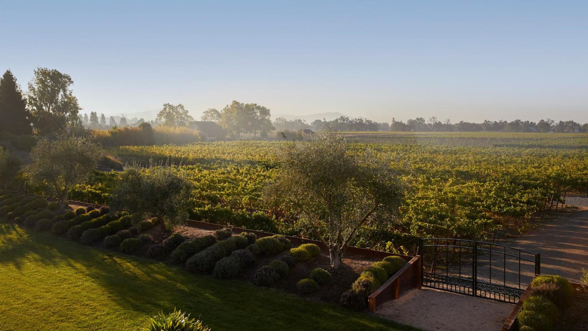 Vinarosa Resort & Spa gallery photo in Santa Rosa, CA — image 45