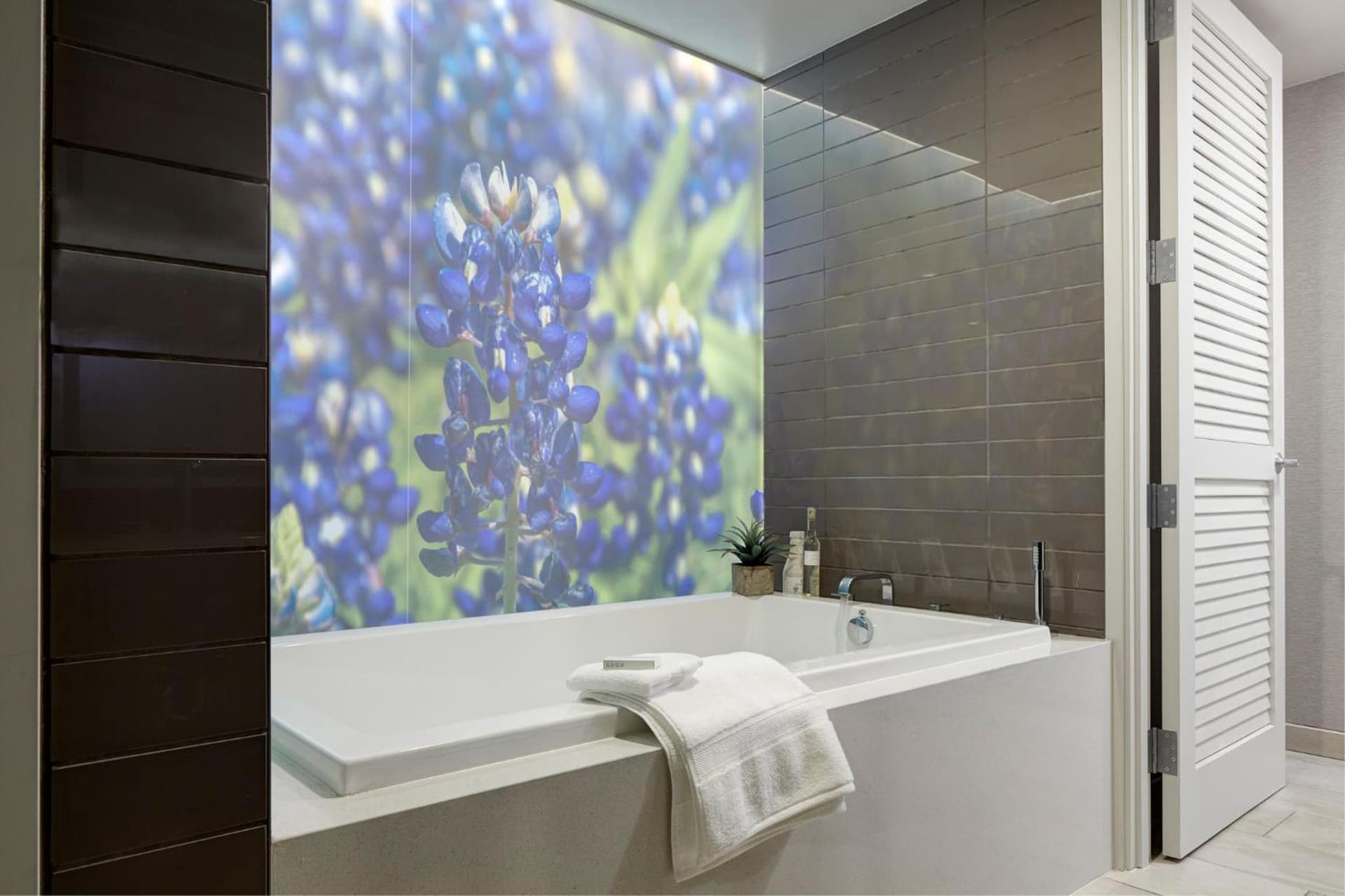 Archer Hotel Austin gallery photo in Austin, TX — image 76