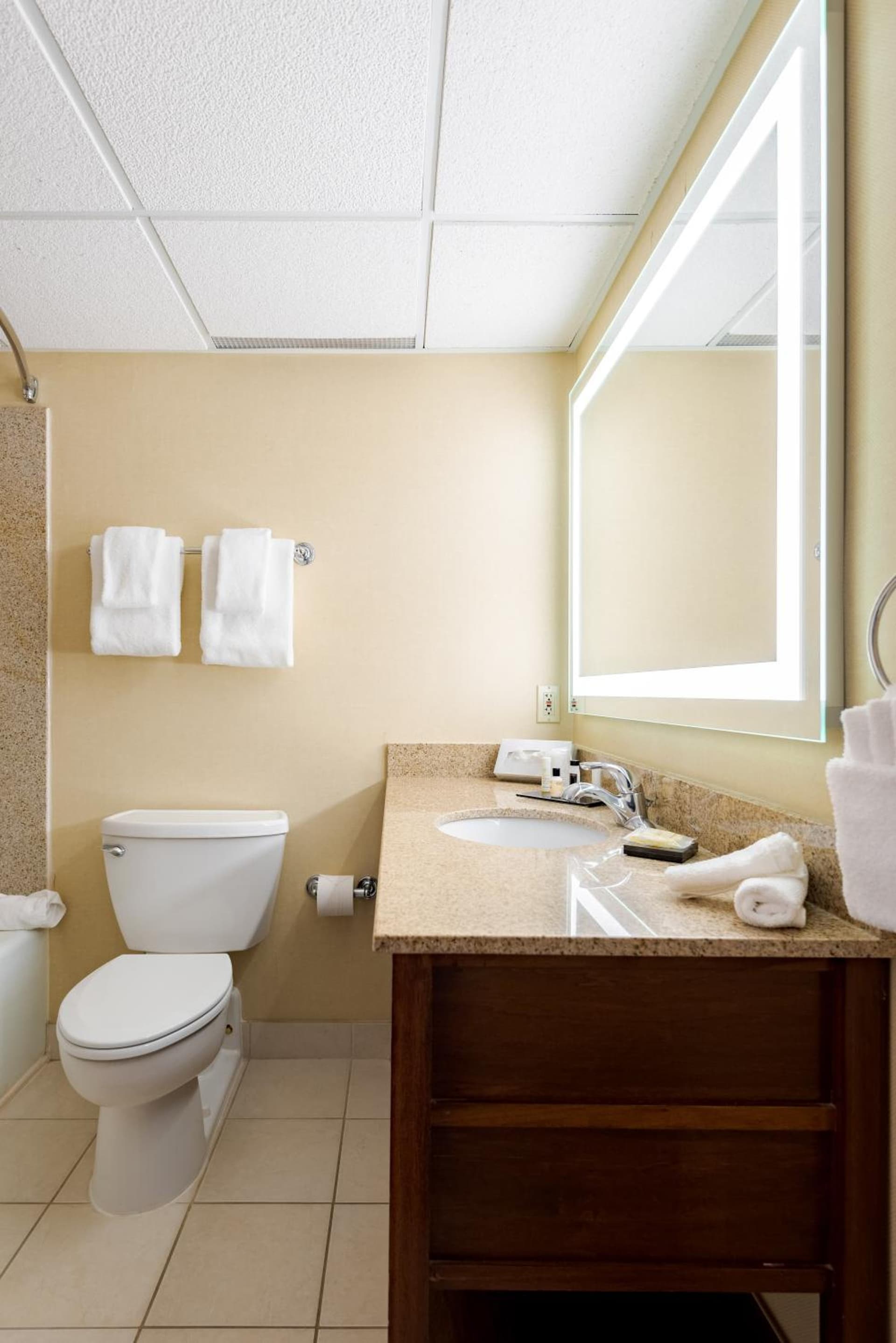 Wyndham Omaha Hotel - West Dodge gallery photo in Omaha, NE — image 25