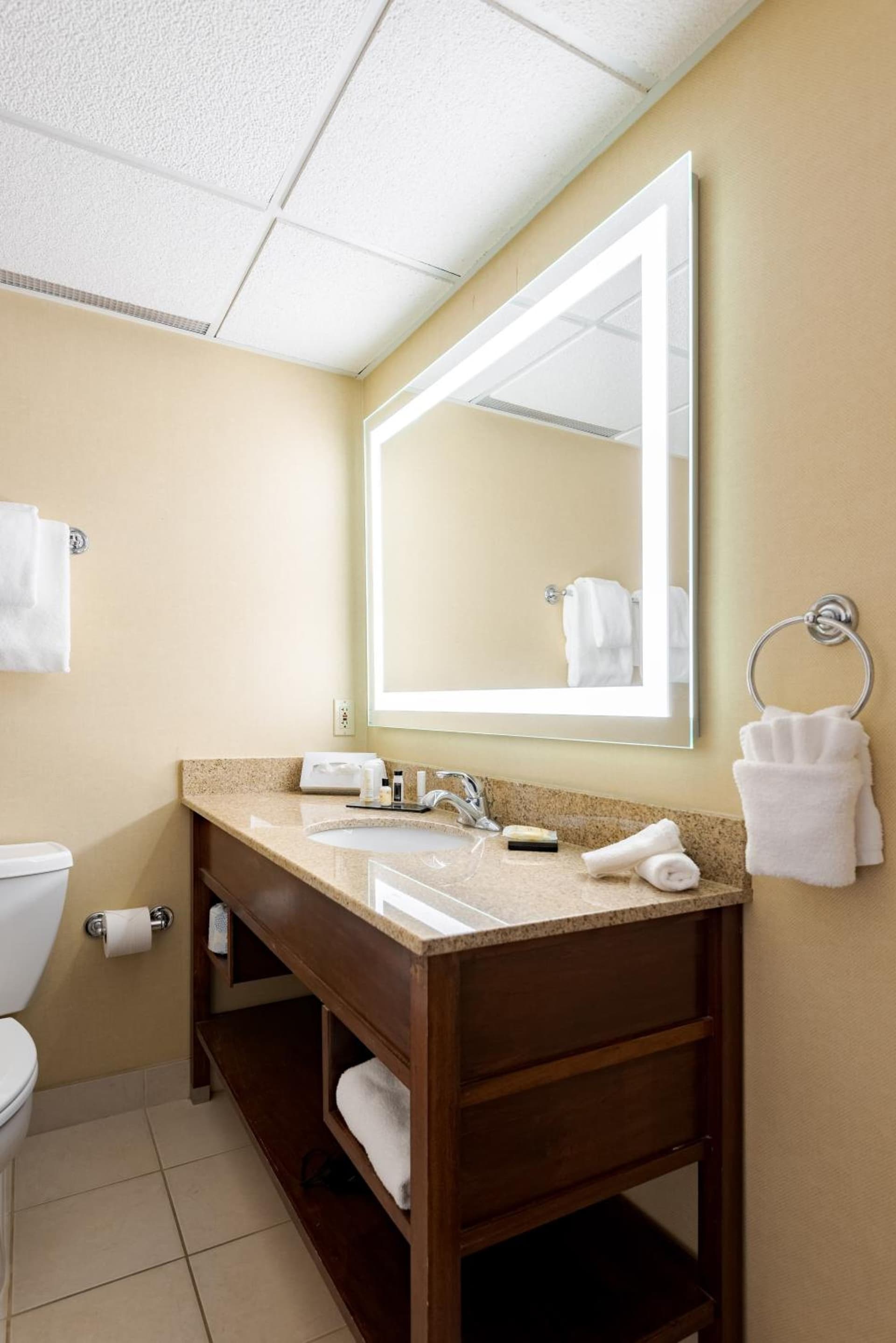 Wyndham Omaha Hotel - West Dodge gallery photo in Omaha, NE — image 50