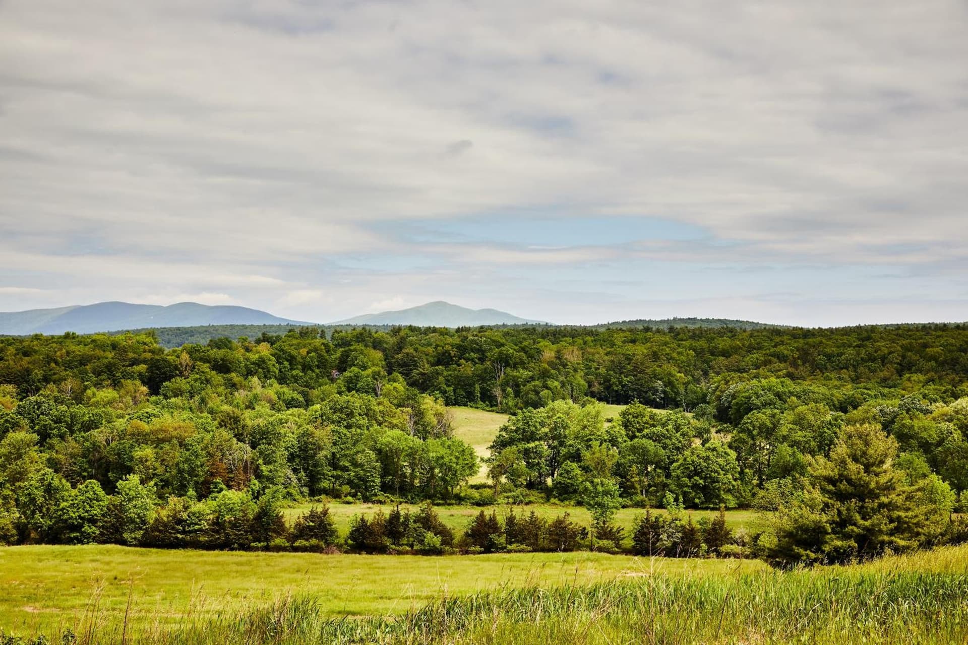 Inness gallery photo in Accord, NY — image 19