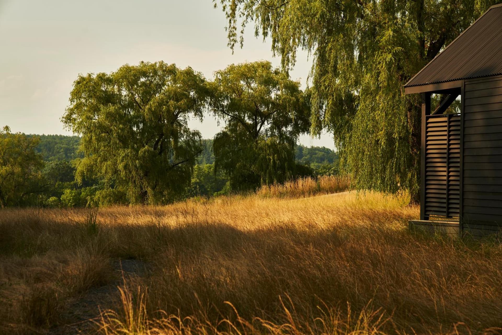 Inness gallery photo in Accord, NY — image 9