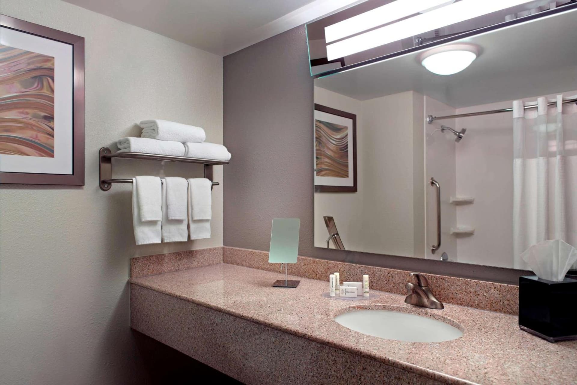 Sonesta Select Atlanta Cumberland Galleria Ballpark gallery photo in Atlanta, GA — image 12