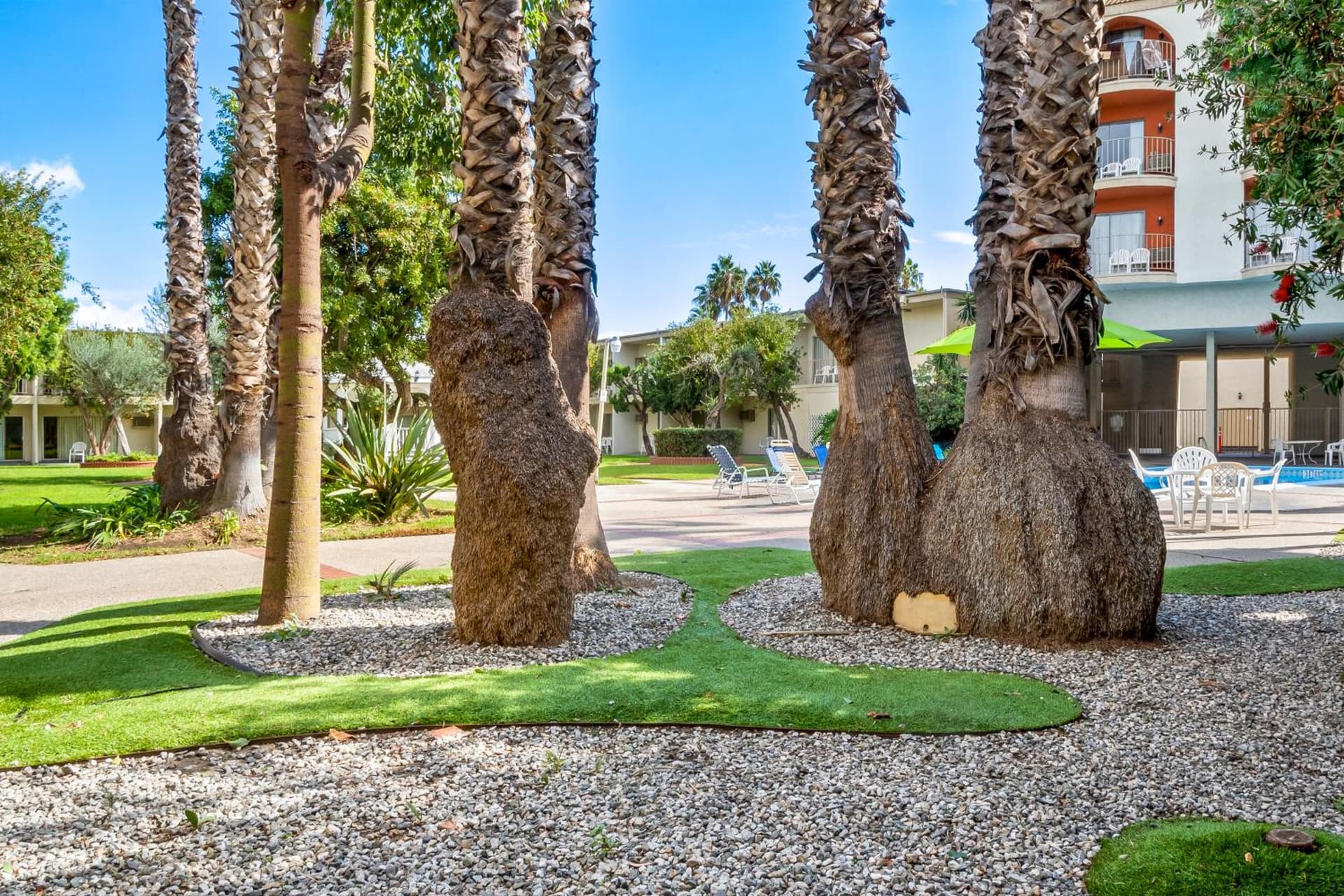 Golden Sails Hotel gallery photo in Long Beach, CA — image 38