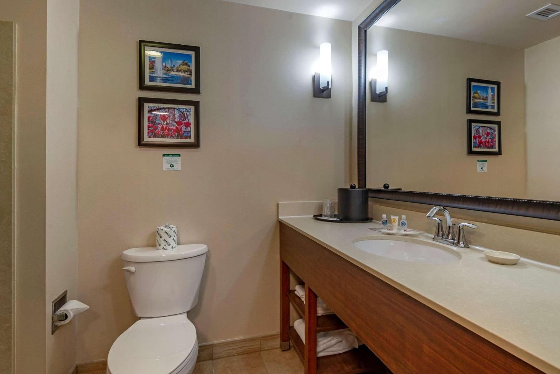 Comfort Suites Huntersville near Lake Norman gallery photo in Huntersville, NC — image 50