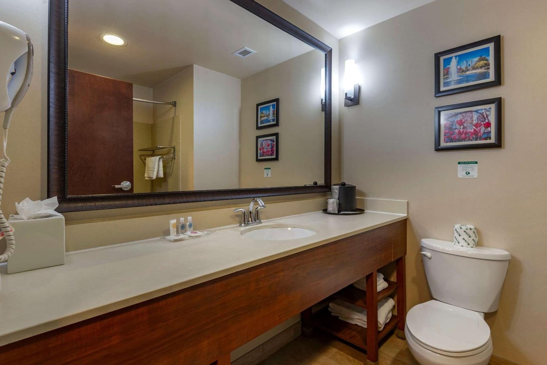 Comfort Suites Huntersville near Lake Norman gallery photo in Huntersville, NC — image 24