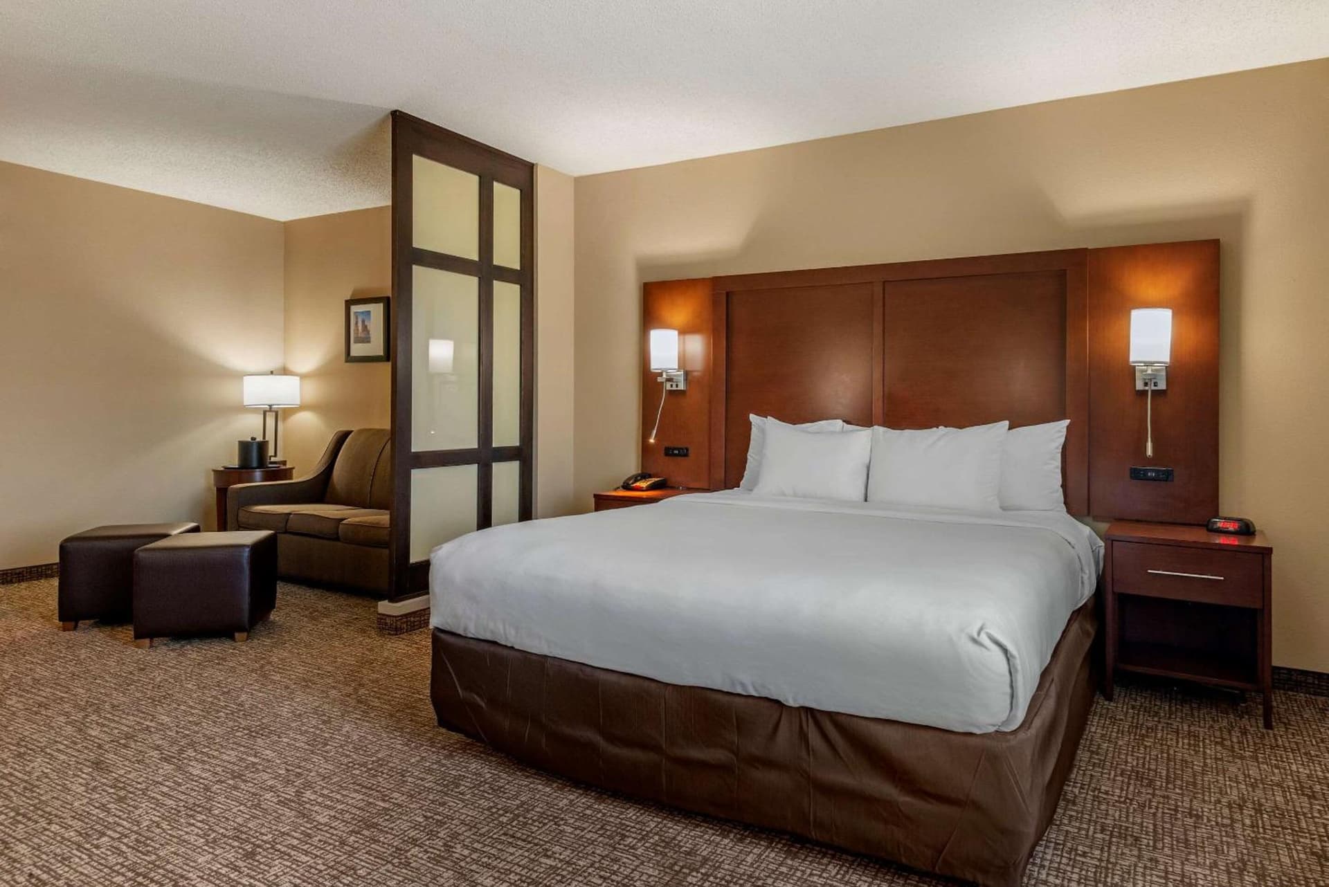 Comfort Suites Huntersville near Lake Norman gallery photo in Huntersville, NC — image 44