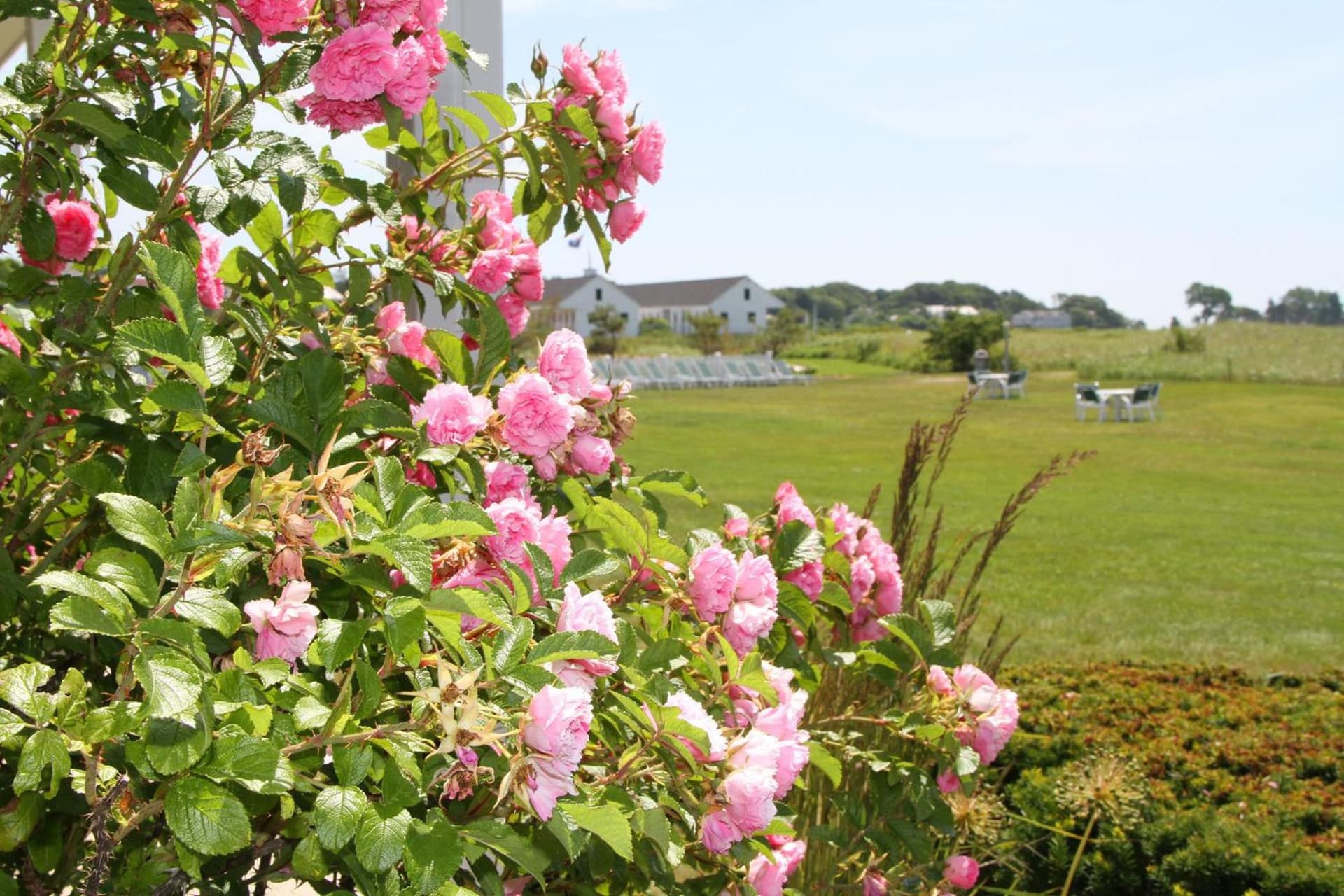 The Seaside Inn gallery photo in Kennebunk Beach — image 16