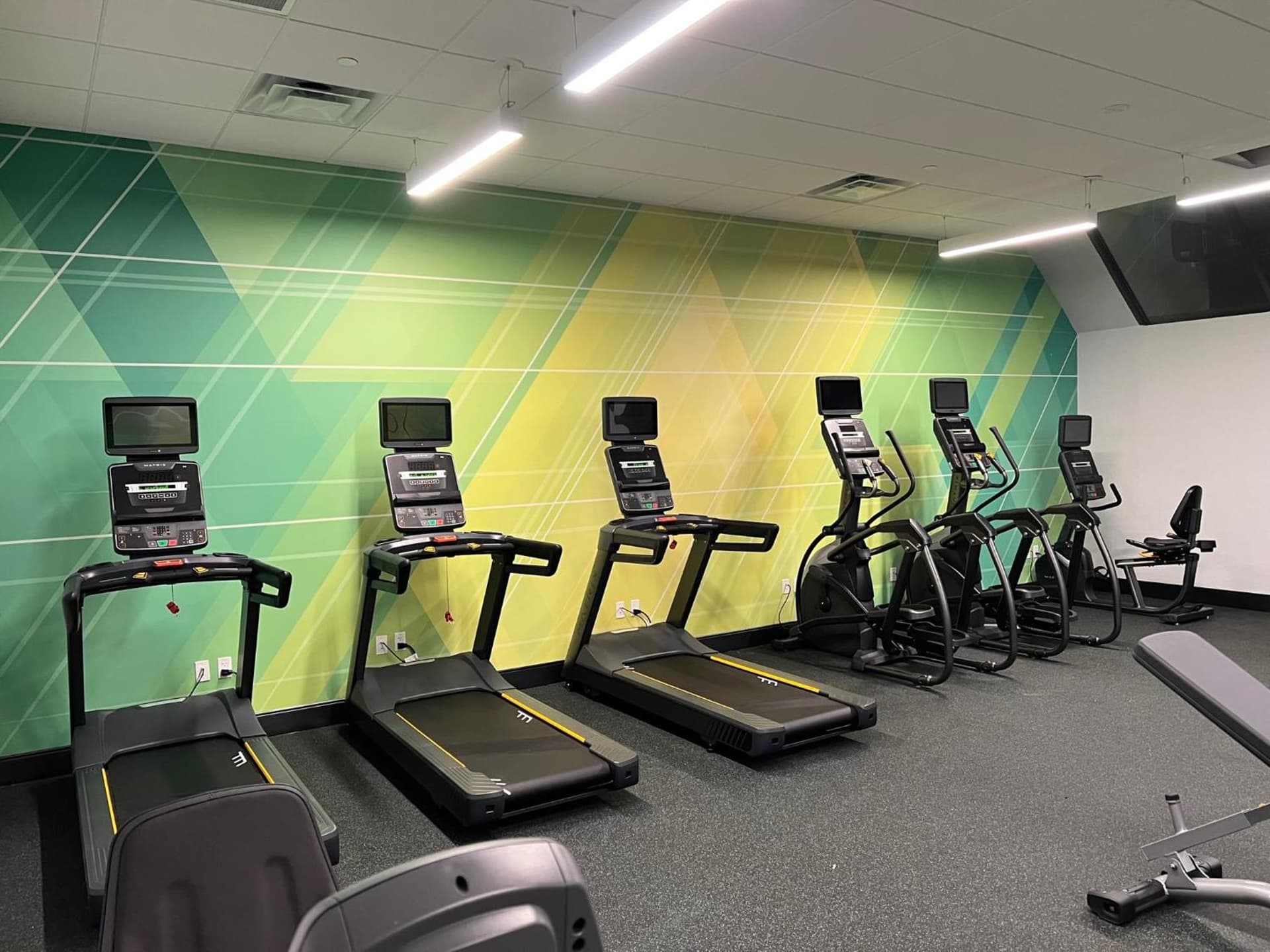 Holiday Inn Orlando International Dr-ICON by IHG gallery photo in Orlando, FL — image 6