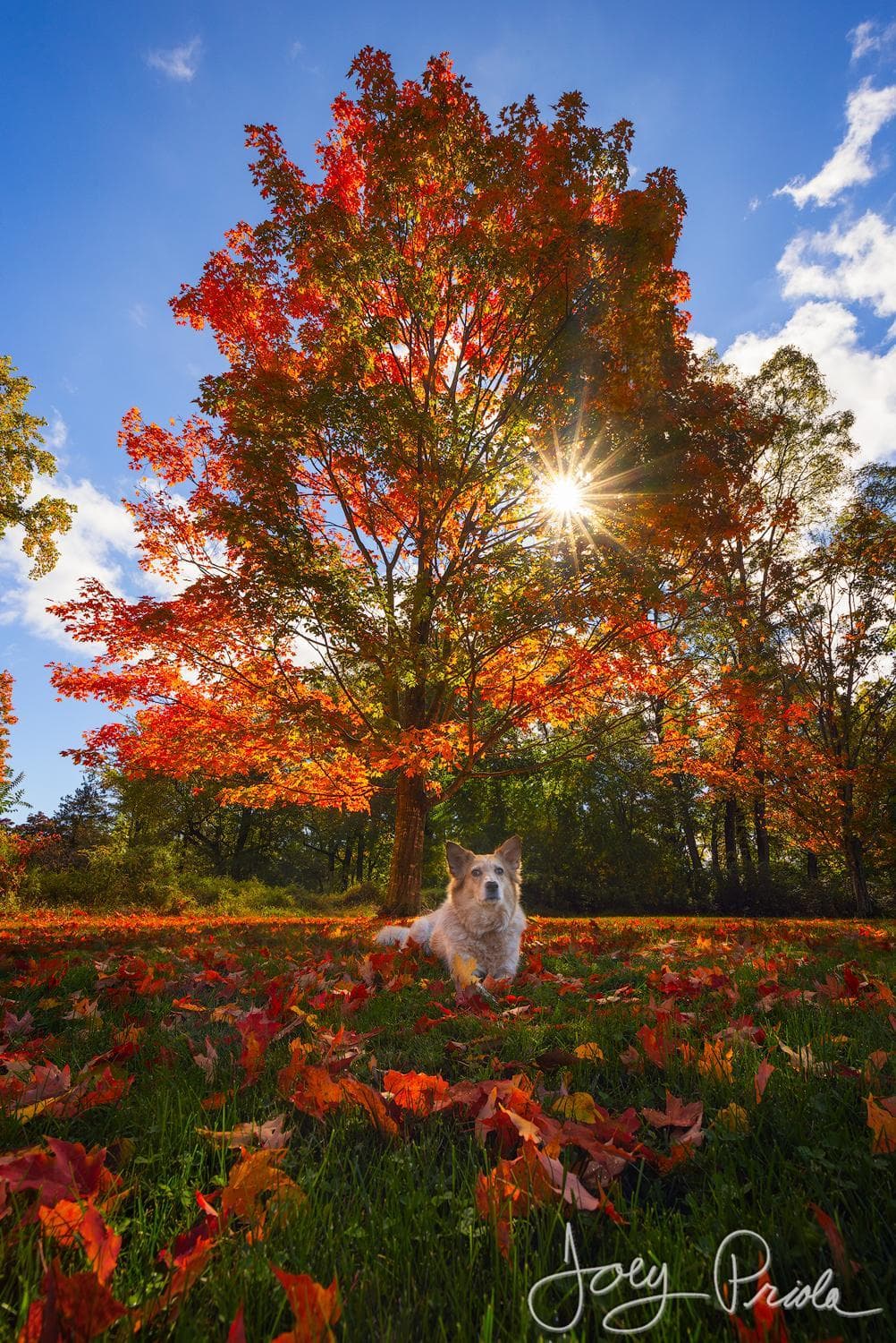 Cromwell Manor Inn gallery photo in Cornwall-on-Hudson, NY — image 16