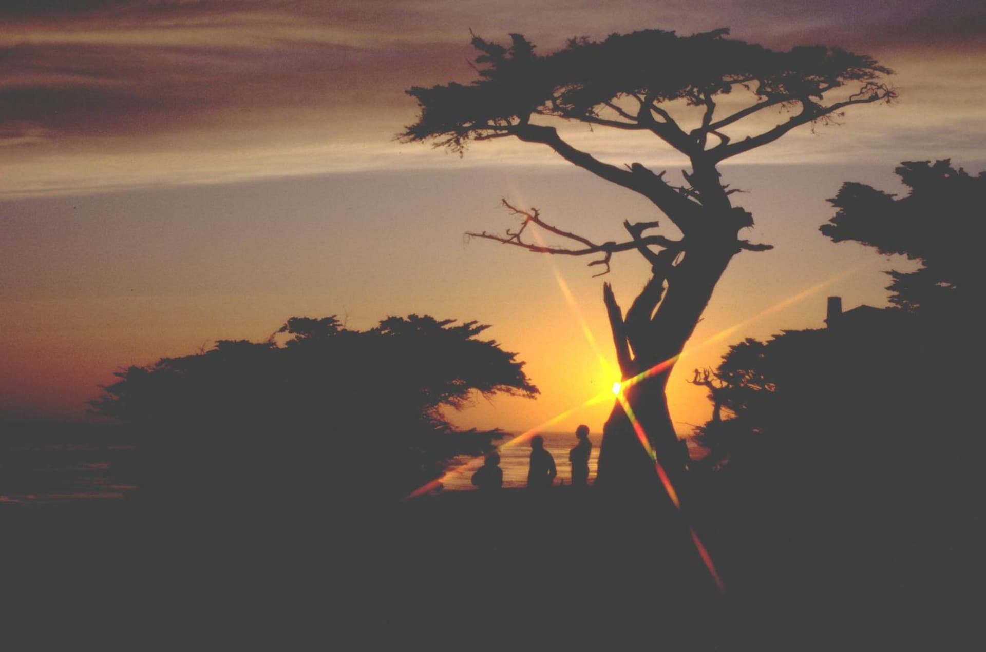 Spindrift Inn gallery photo in Monterey, CA — image 23