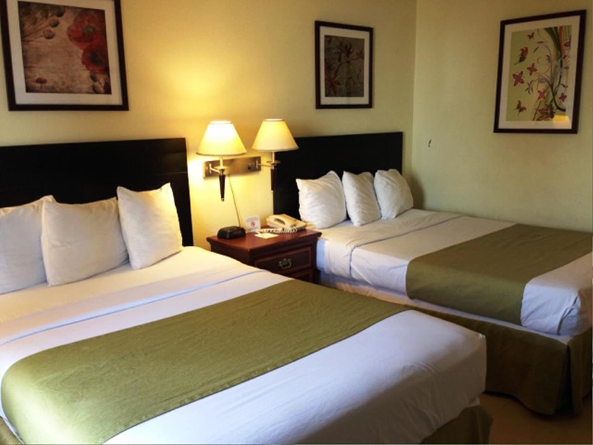 SureStay by Best Western Irving Grapevine DFW North gallery photo in Irving, TX — image 10