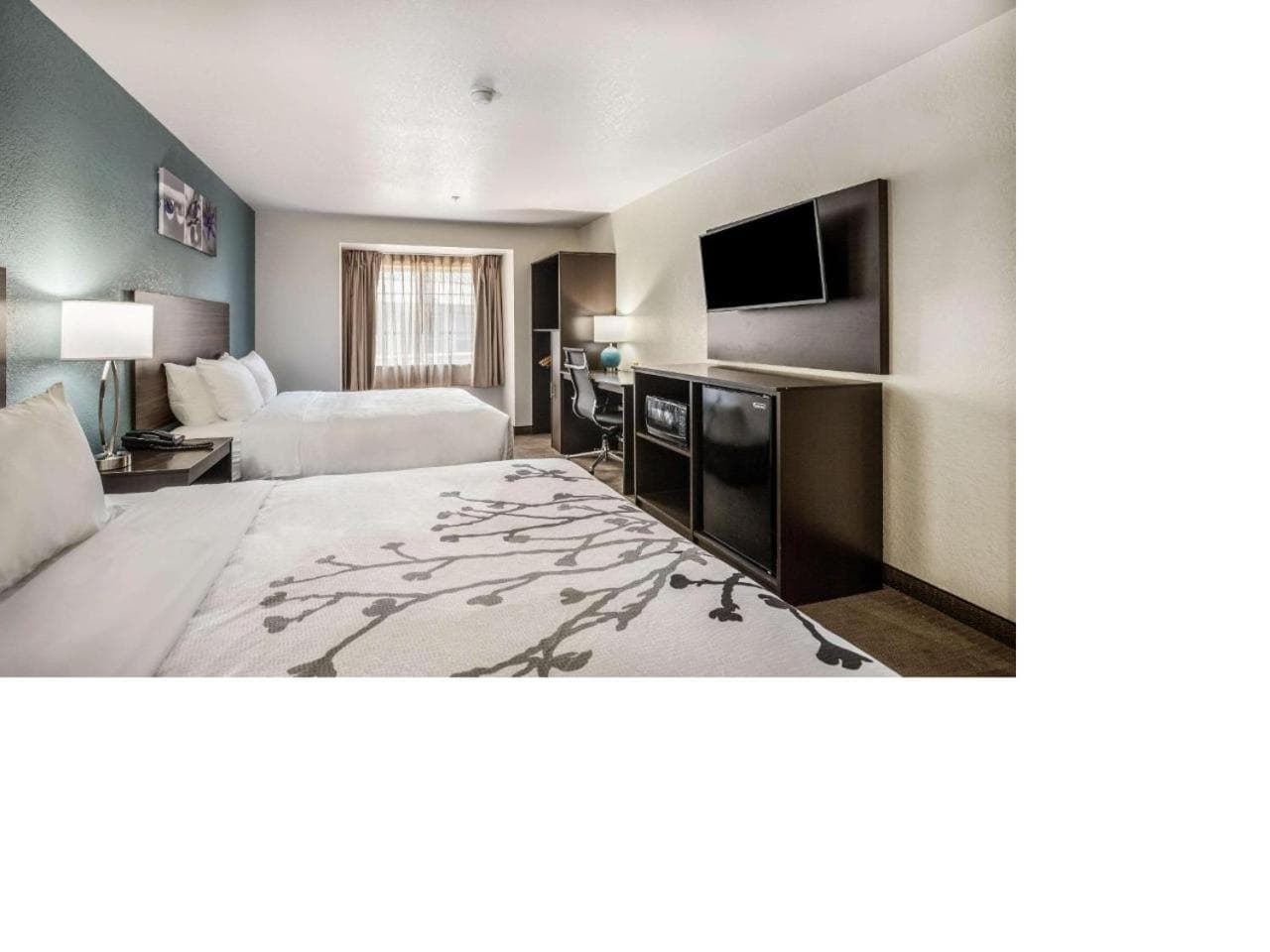Sleep Inn & Suites Tallahassee-Capitol gallery photo in Tallahassee, FL — image 40