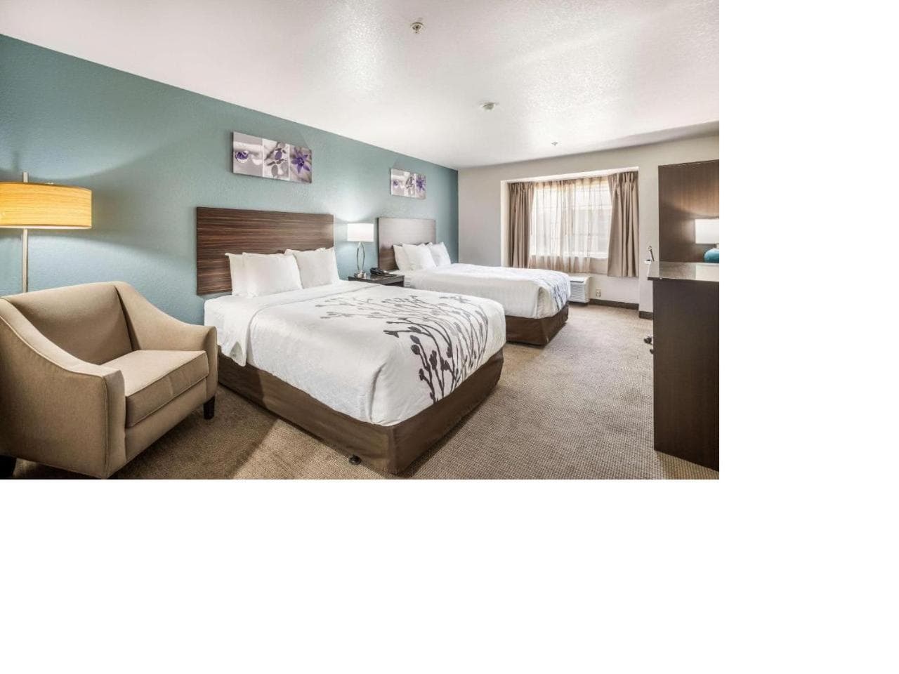 Sleep Inn & Suites Tallahassee-Capitol gallery photo in Tallahassee, FL — image 11