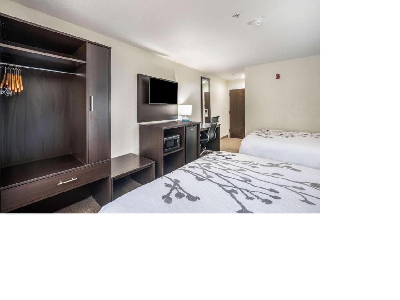 Sleep Inn & Suites Tallahassee-Capitol gallery photo in Tallahassee, FL — image 5