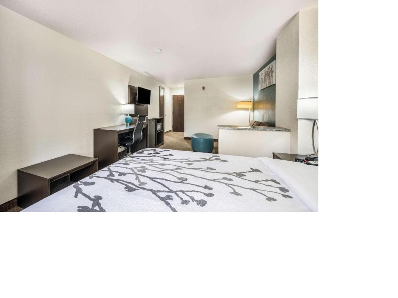 Sleep Inn & Suites Tallahassee-Capitol gallery photo in Tallahassee, FL — image 44