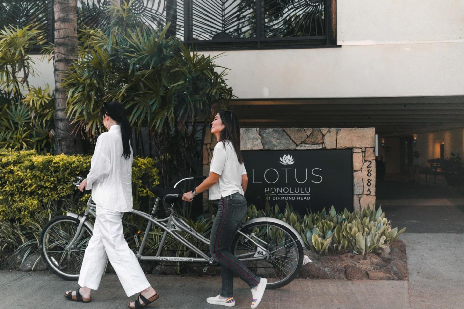Lotus Honolulu at Diamond Head interior in Honolulu, HI — gallery photo 2