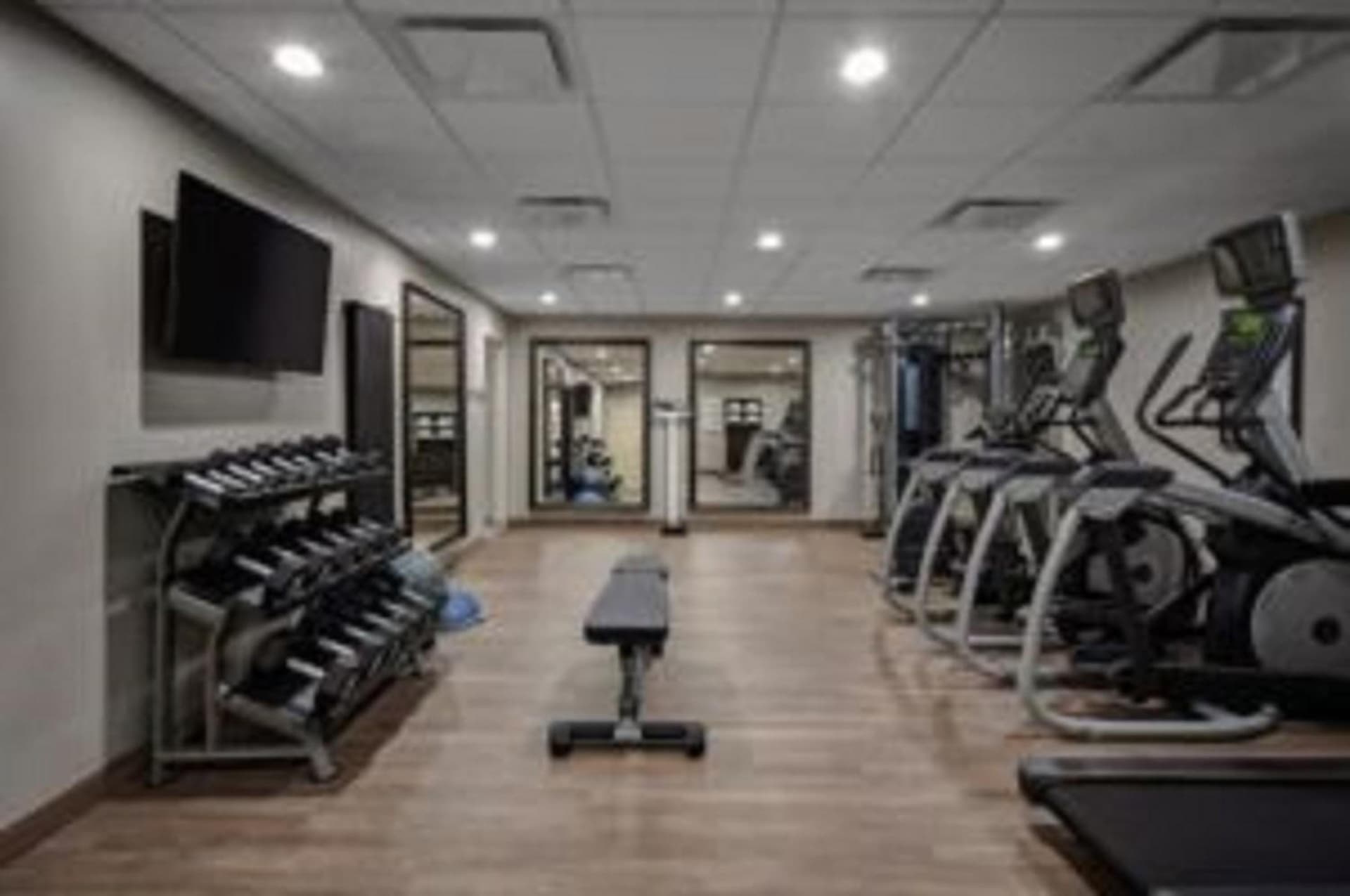 Staybridge Suites Dearborn by IHG gallery photo in Dearborn, MI — image 7