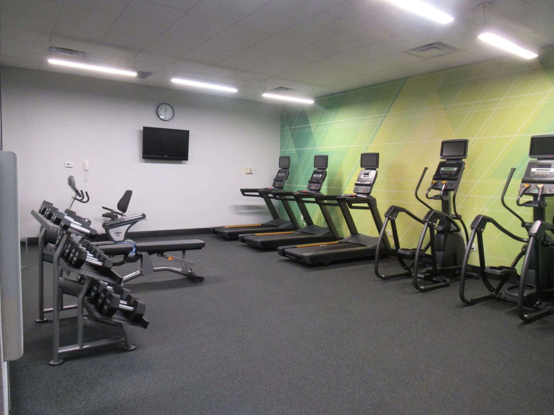 Holiday Inn Orlando International Dr-ICON by IHG gallery photo in Orlando, FL — image 4