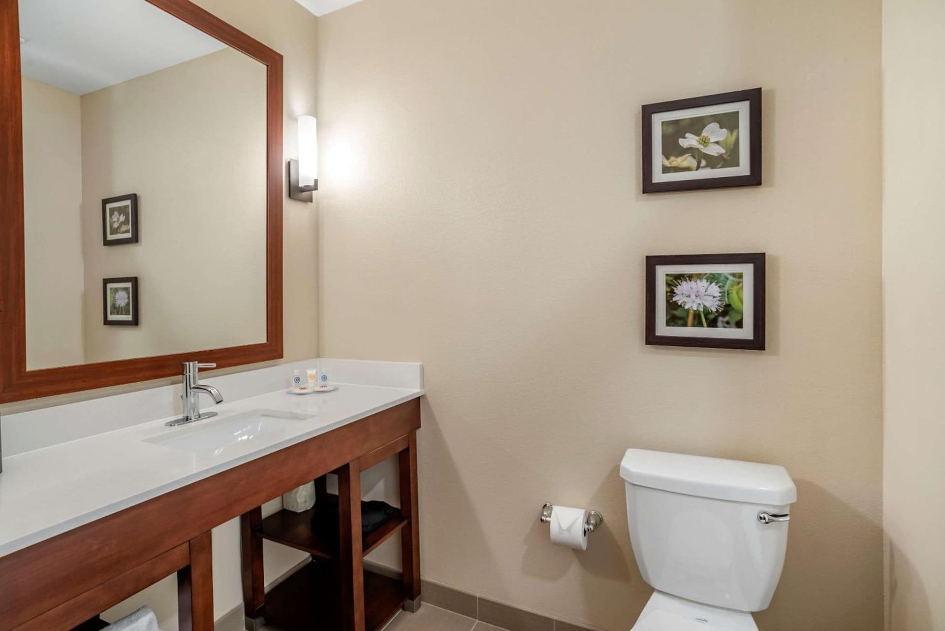 Comfort Inn & Suites Winchester gallery photo in Winchester, VA — image 31