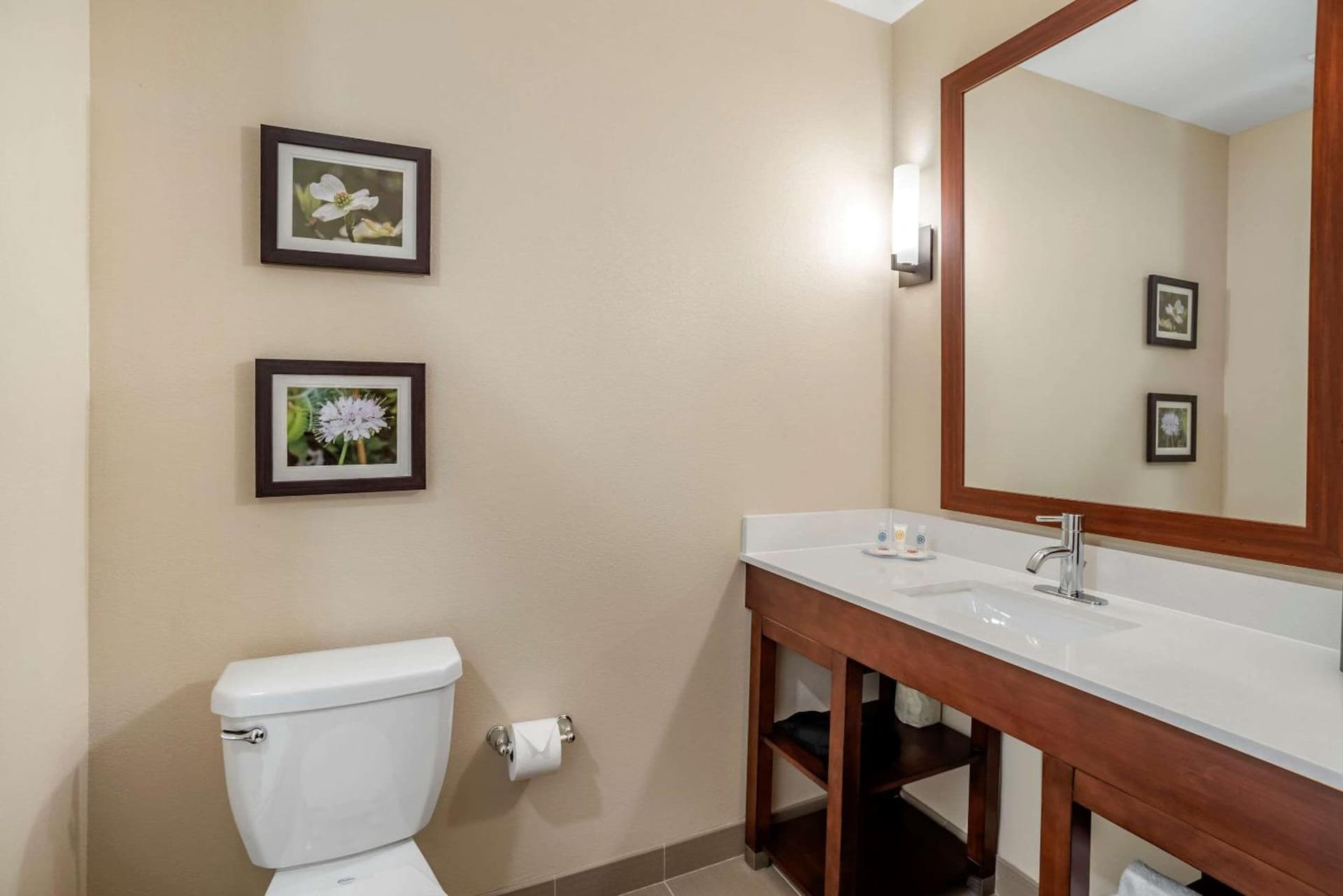 Comfort Inn & Suites Winchester gallery photo in Winchester, VA — image 24