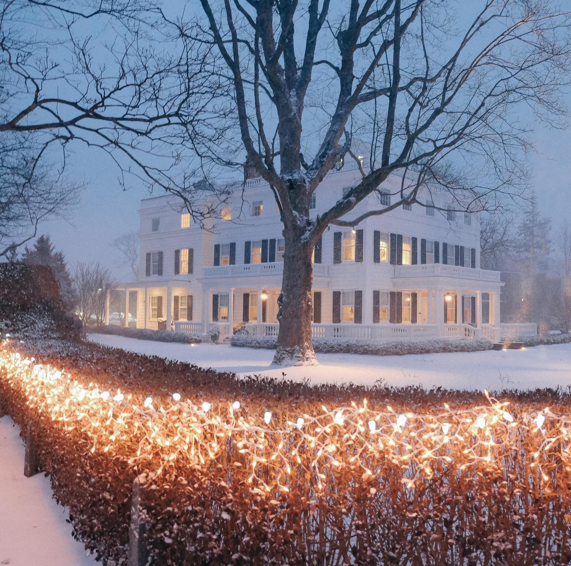 Topping Rose House gallery photo in Bridgehampton, NY — image 9