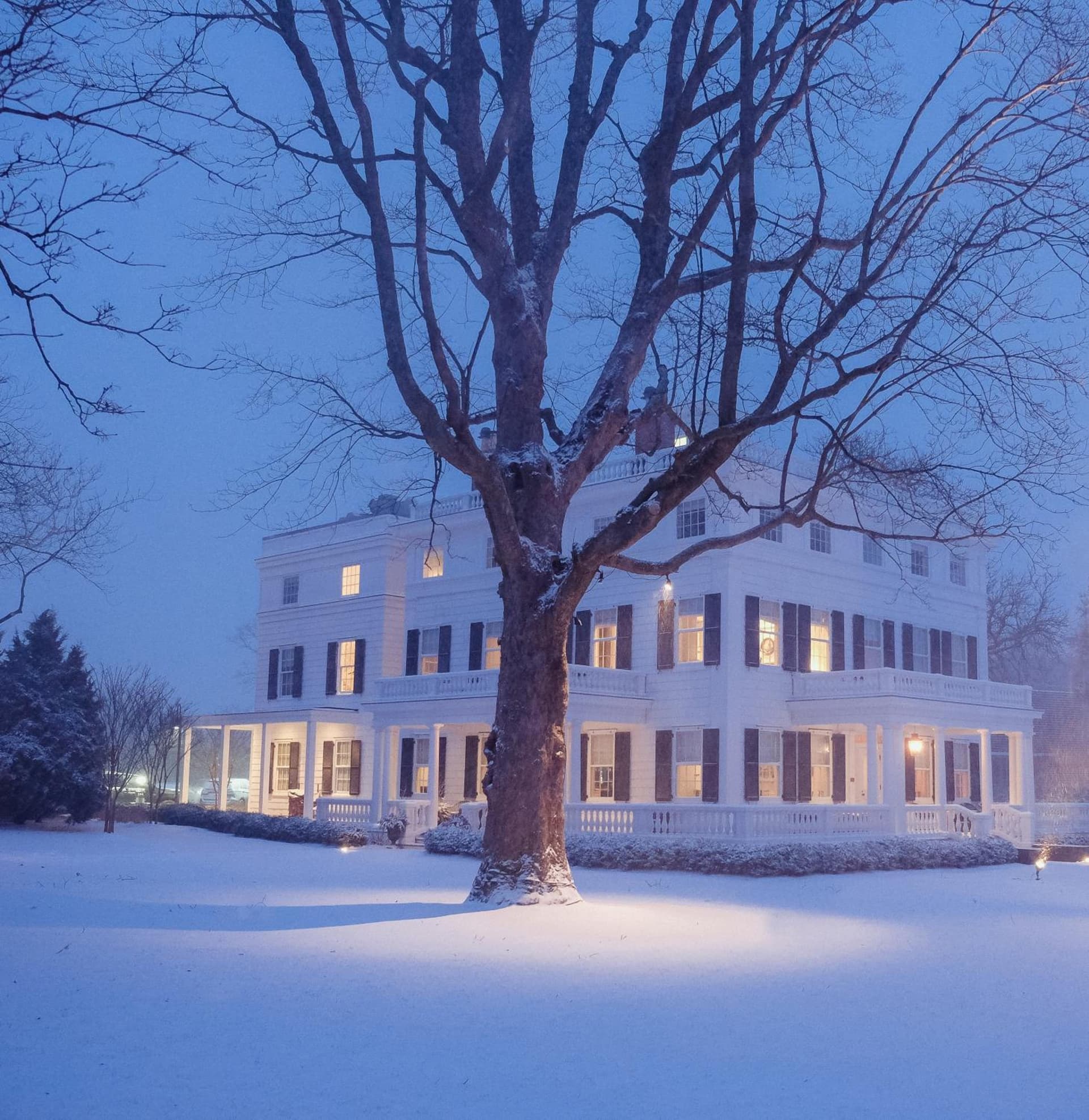 Topping Rose House gallery photo in Bridgehampton, NY — image 26