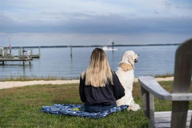 Wylder Hotel - Tilghman Island gallery photo in Saint Michaels, MD — image 60
