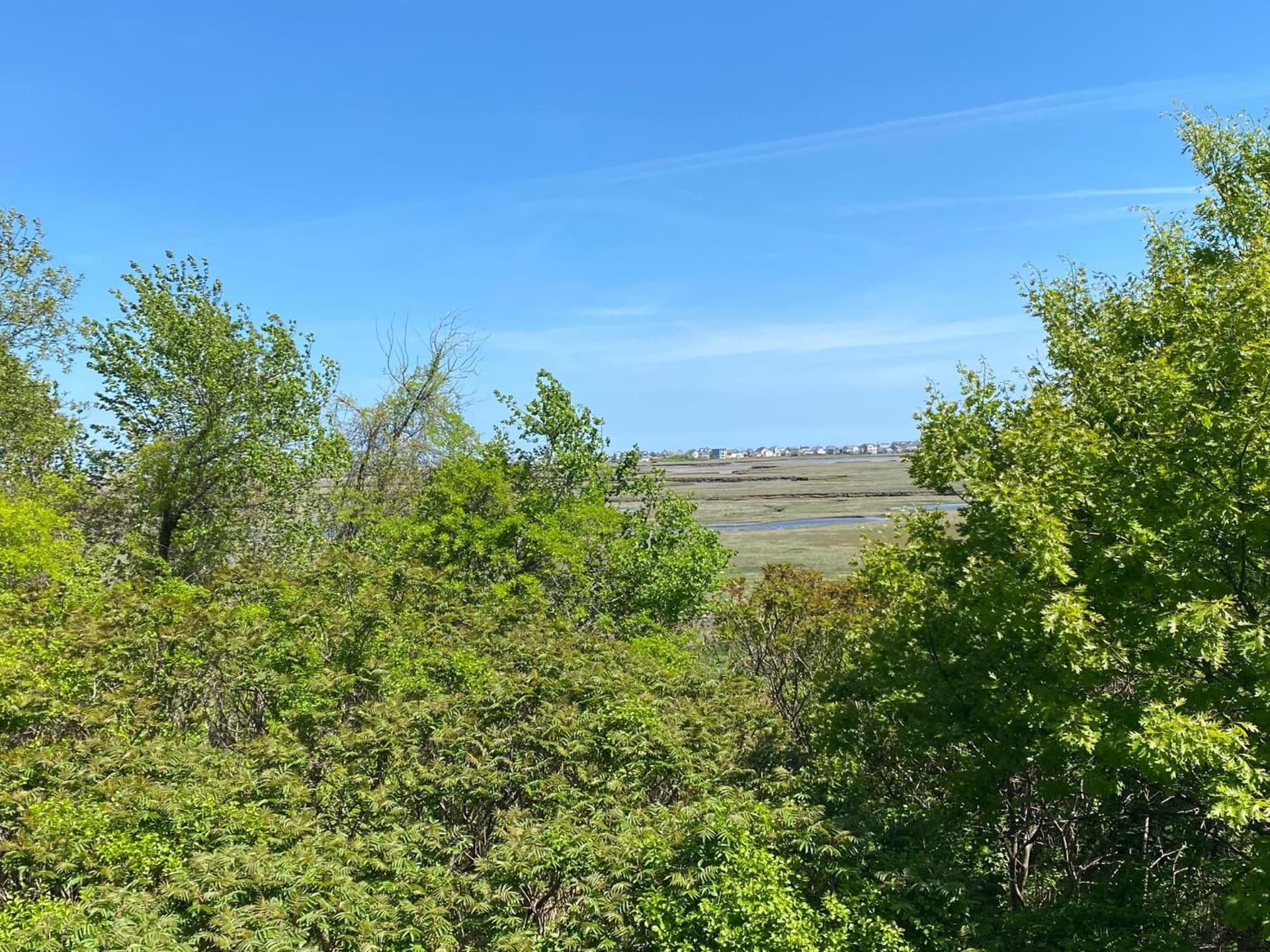 Village By The Sea gallery photo in Wells — image 21