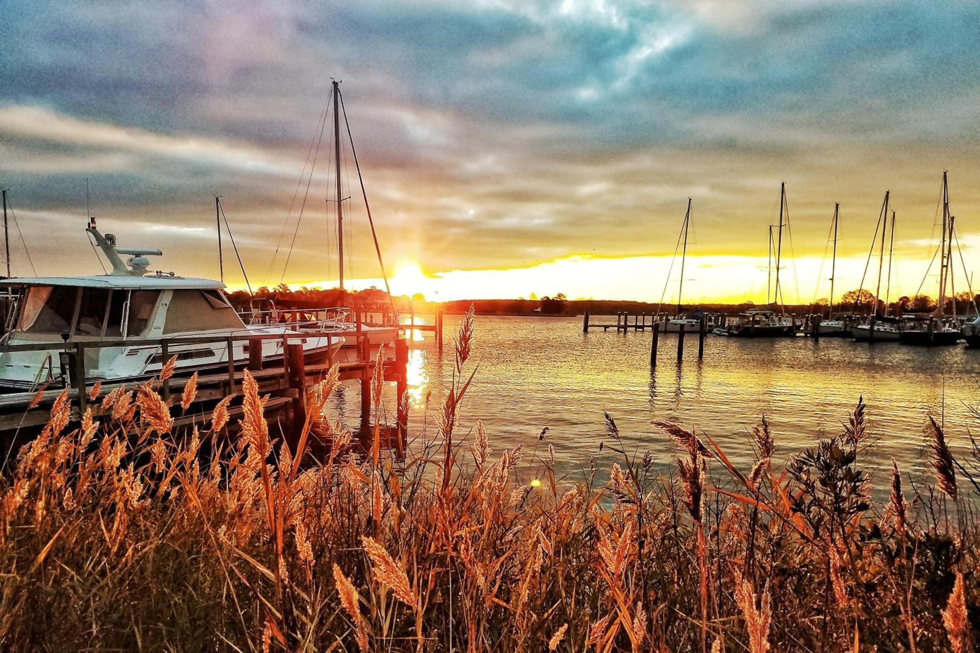 Sandaway Suites & Beach gallery photo in Oxford, MD — image 90