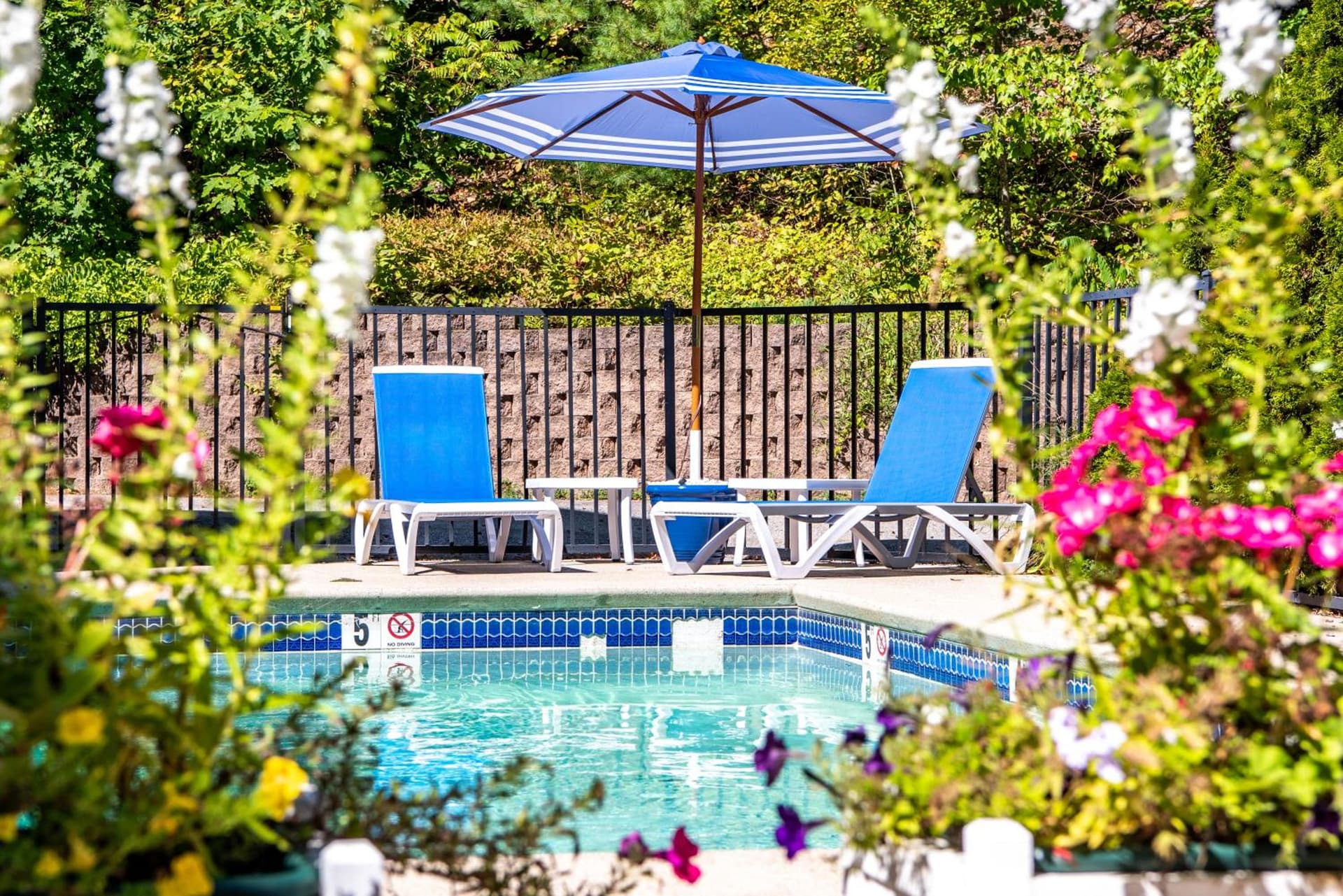Admiral's Inn Resort gallery photo in Ogunquit — image 70